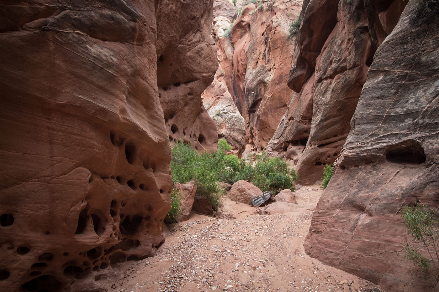 Canyoneer Catstair Canyon in Grand Staircase - Escalante National Monument, Utah - Stav is Lost