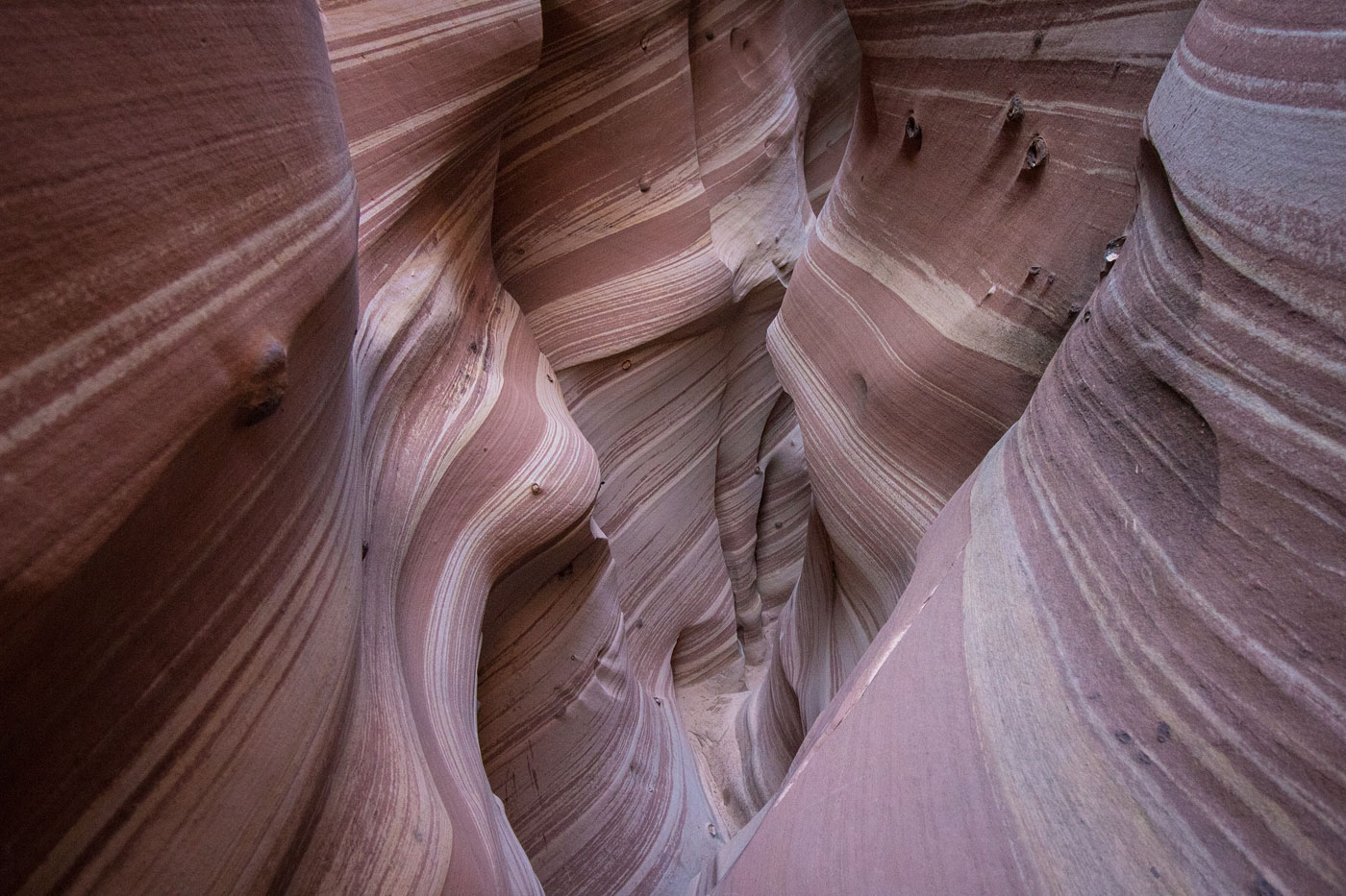 Hike Zebra and Tunnel Slot Canyons in Grand Staircase - Escalante National Monument, Utah - Stav is Lost