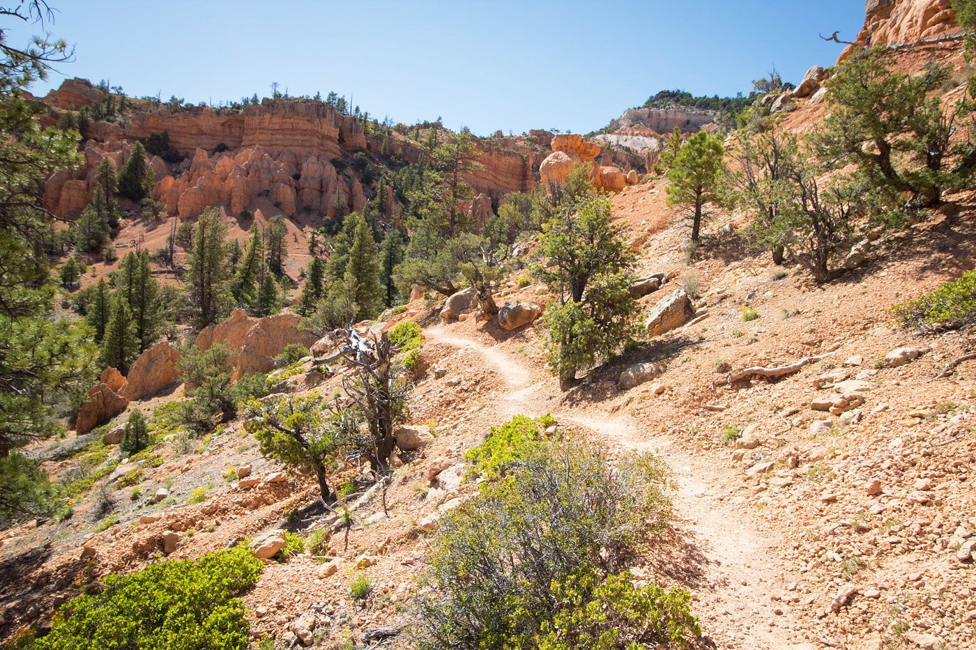 Hiking Pink Ledges, Birdseye, Photo Trail in Dixie National Forest, Utah