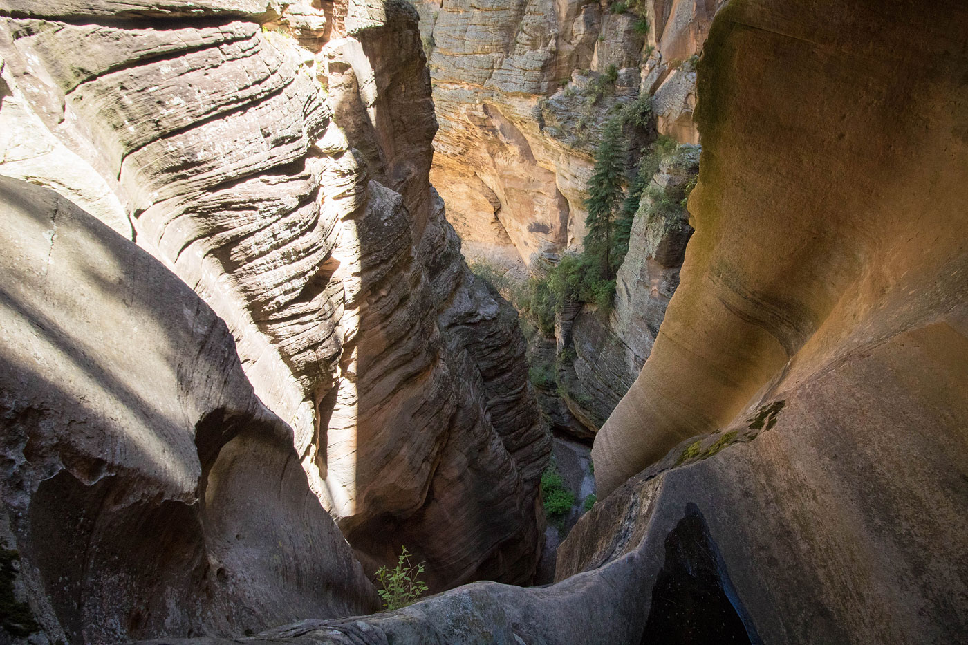 Canyoneering Sundance Canyon in Coconino National Forest, Arizona
