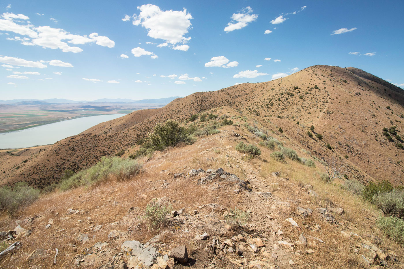 Hike West Mountain in West Mountain BLM, Utah - Stav is Lost