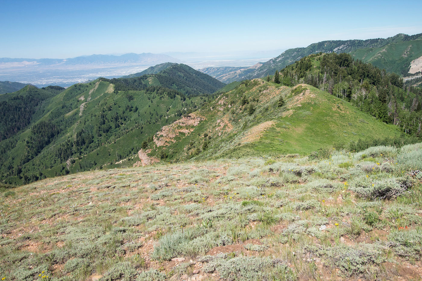 Hike Lookout Peak via Killyon Canyon and Black Mountain Loop in Wasatch-Cache National Forest, Utah - Stav is Lost
