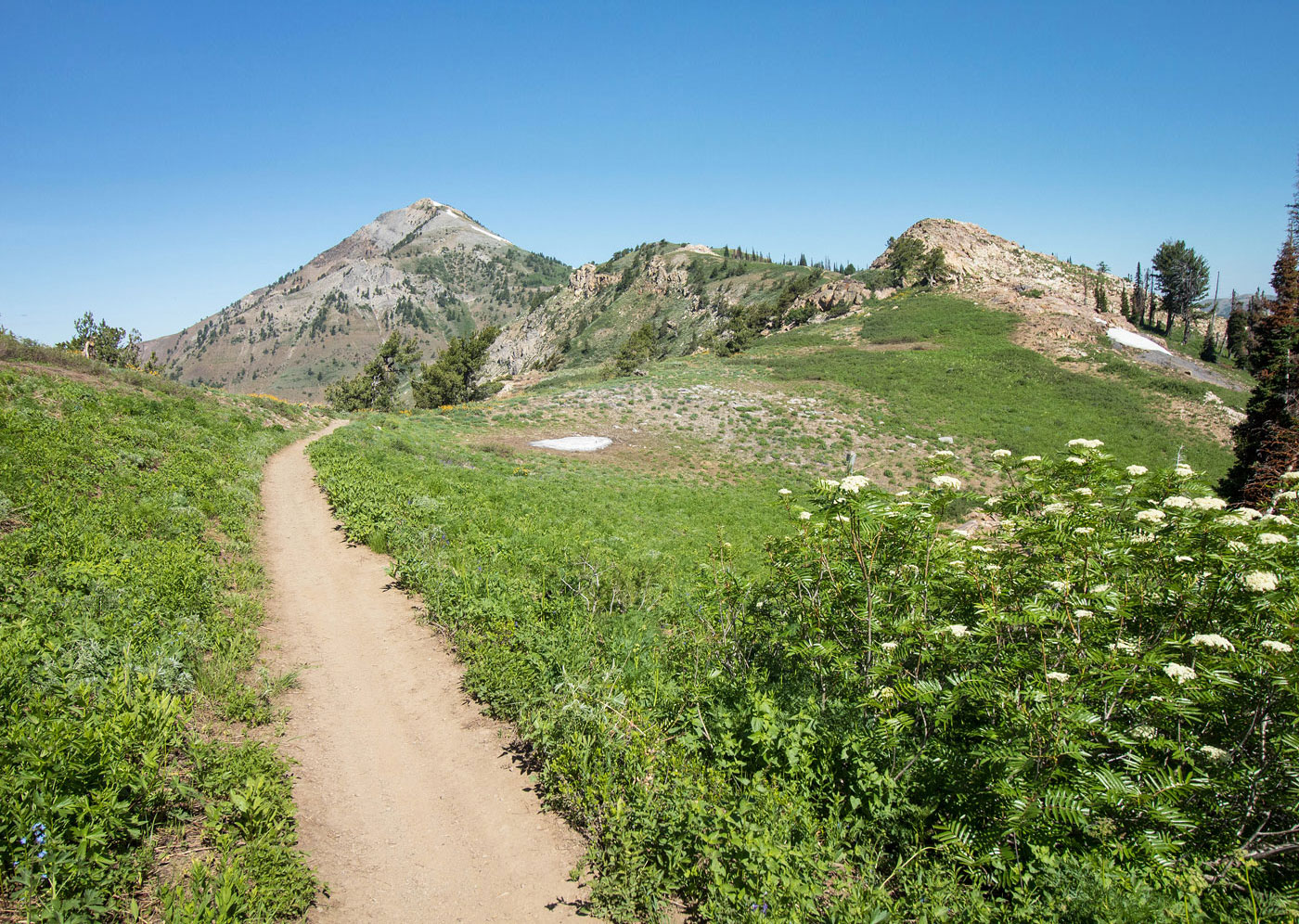 Hike Ben Lomond, Willard Peak, Inspiration Point via Skyline Trail in Wasatch-Cache National Forest, Utah - Stav is Lost