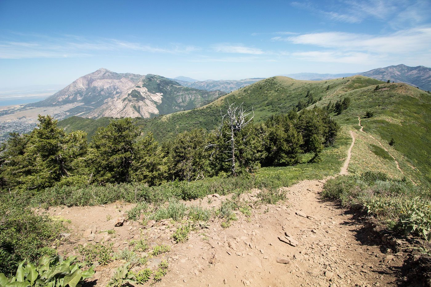 Hike Eyrie Peak and Lewis Peak via South Skyline Trail in Wasatch-Cache National Forest, Utah - Stav is Lost