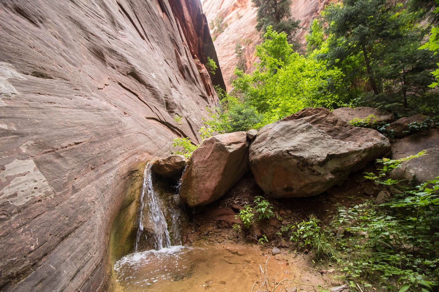 Hike Spring Creek Canyon to Sweetwater Gulch in Kanarraville BLM, Utah - Stav is Lost