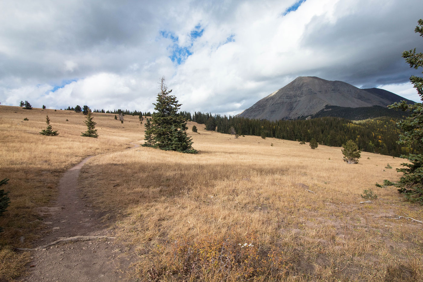 Hike West Spanish Peak in San Isabel National Forest, Colorado - Stav is Lost