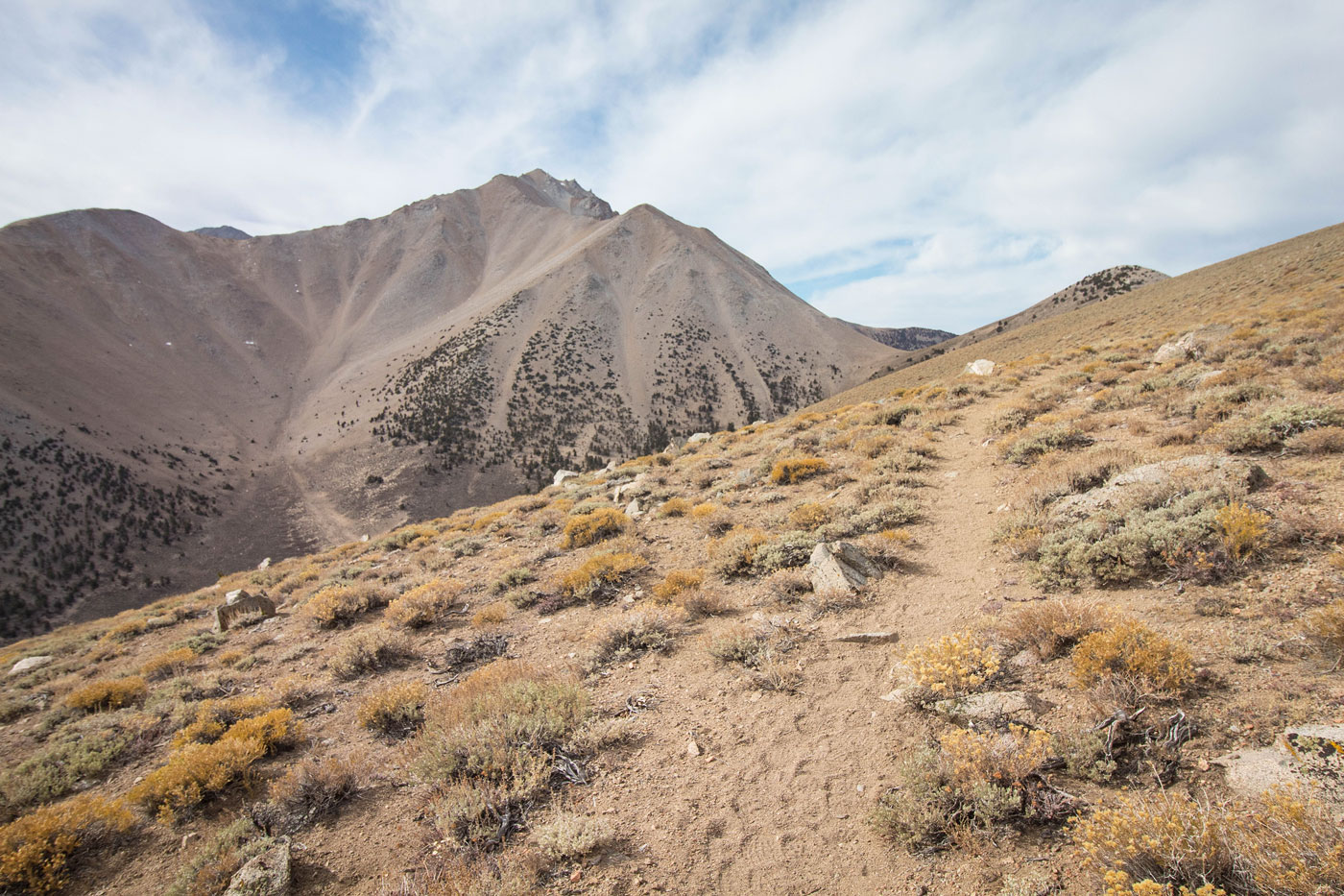 Hike Boundary Peak and Montgomery Peak in Inyo National Forest, Nevada - Stav is Lost