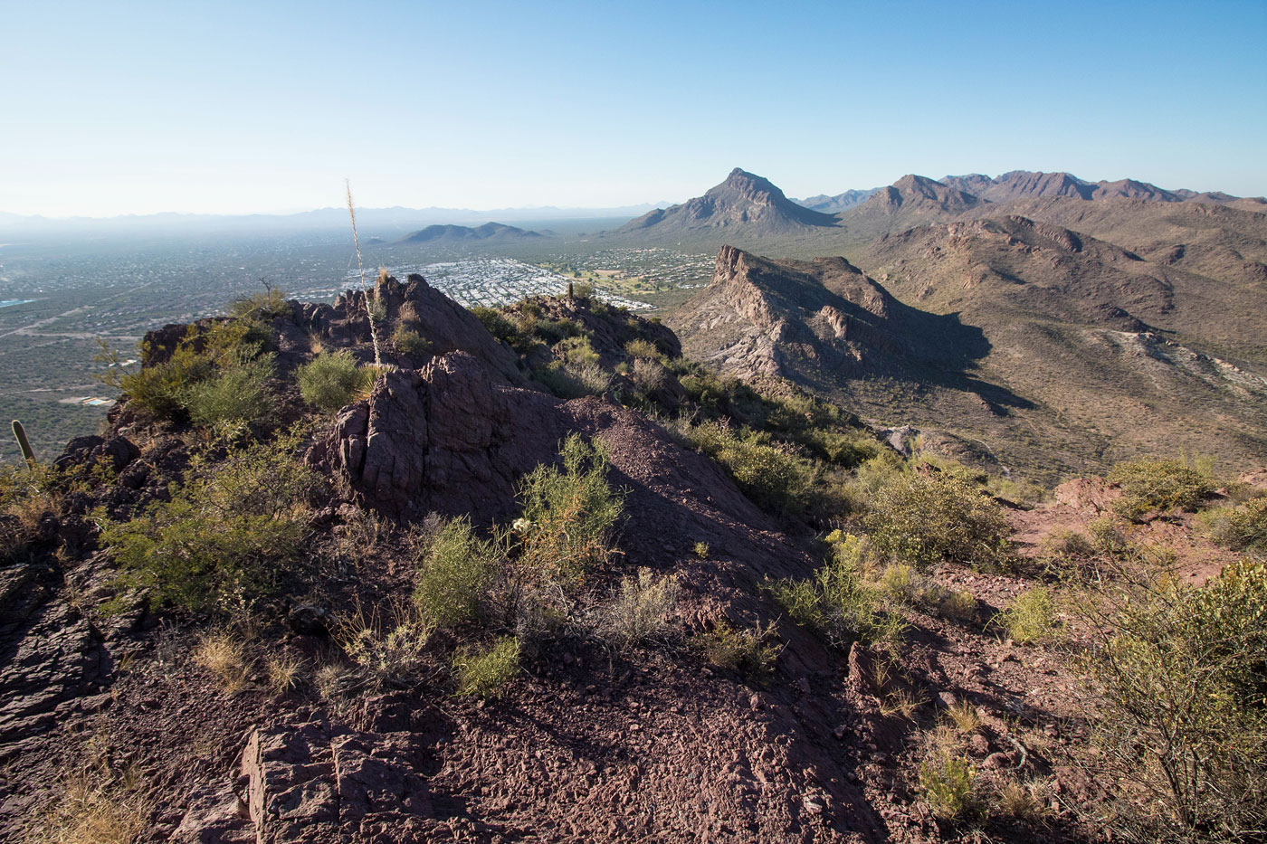 Hike Bobcat Ridge, Little Cat Mountain, Cat Mountain in Tucson Mountain Park, Arizona - Stav is Lost