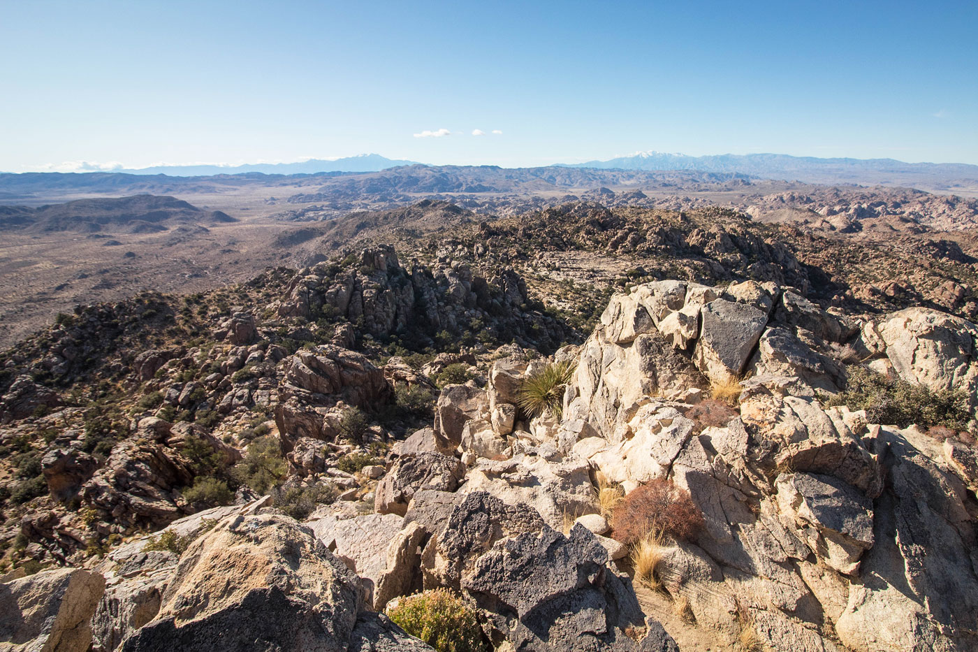 Hike Queen Mountain in Joshua Tree National Park, California - Stav is Lost