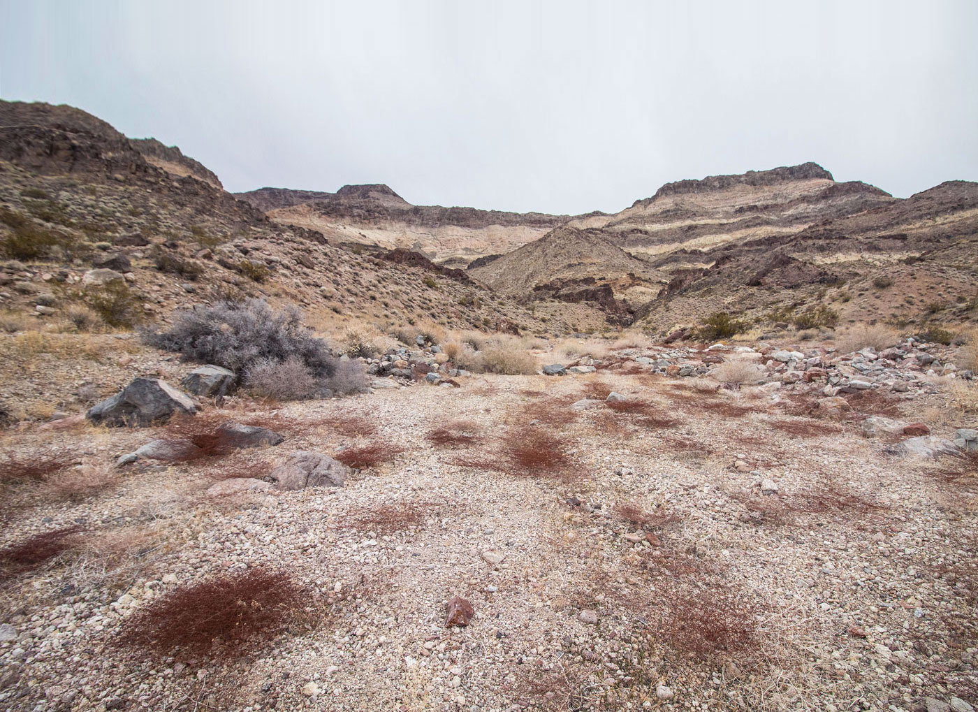 Hike Brown Peak in Death Valley National Park, California - Stav is Lost