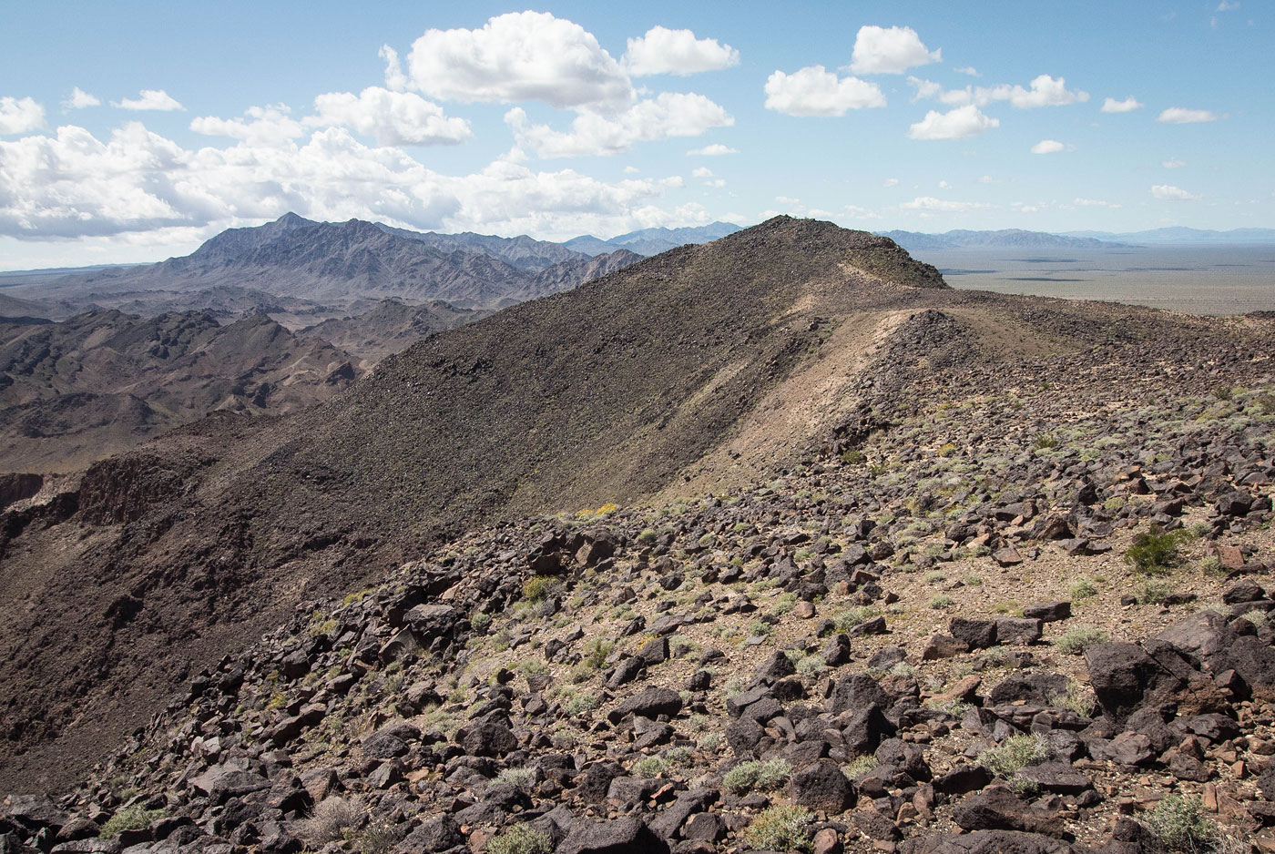 Hike Little Chuckwalla Mountains High Point in Little Chuckwalla Mountains Wilderness BLM, California - Stav is Lost