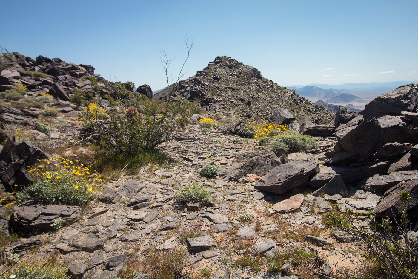 Hike West Maria Benchmark in Big Maria Mountains Wilderness Area BLM, California - Stav is Lost