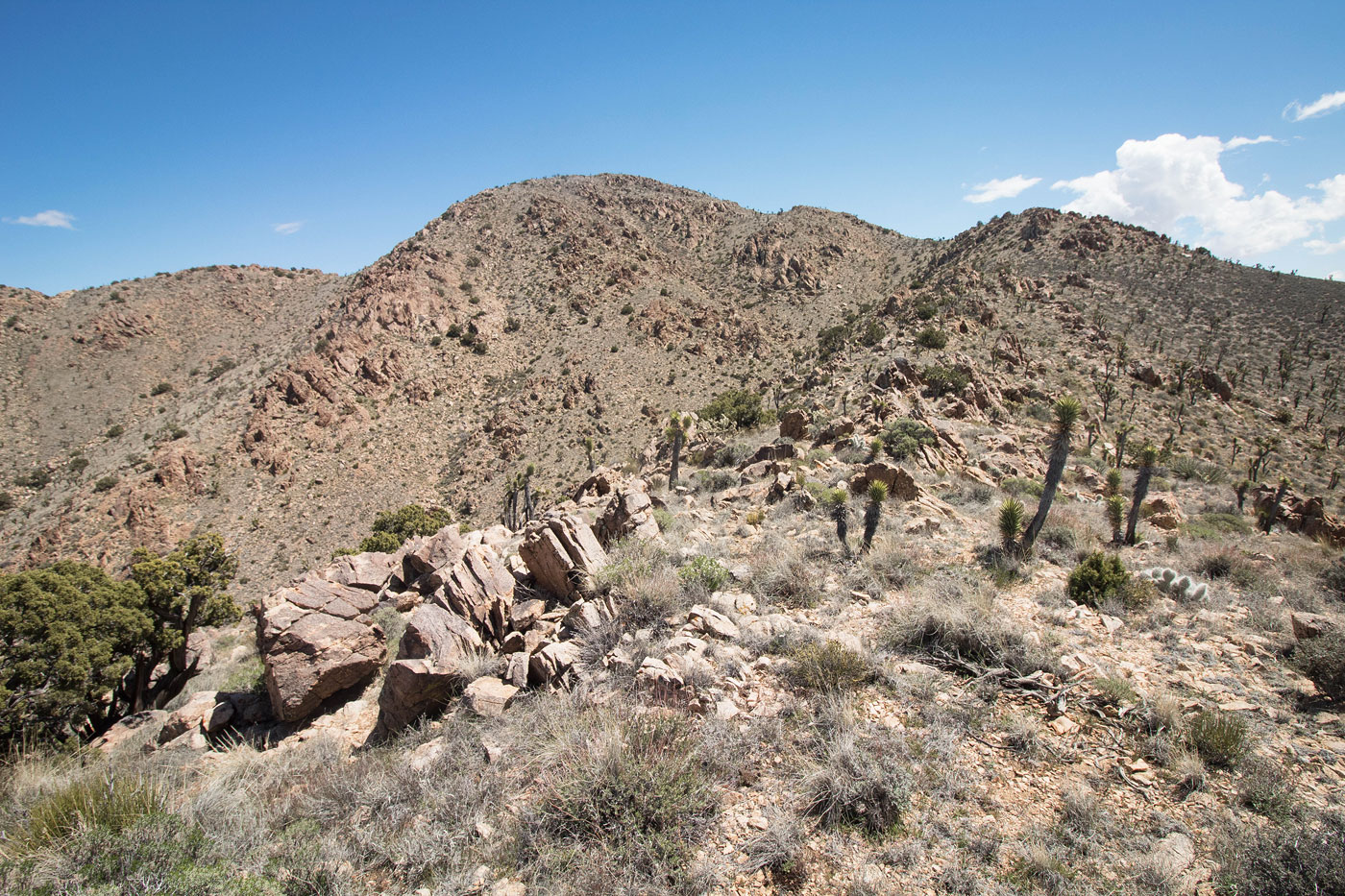 Hike Kessler Peak in Mojave National Preserve, California - Stav is Lost