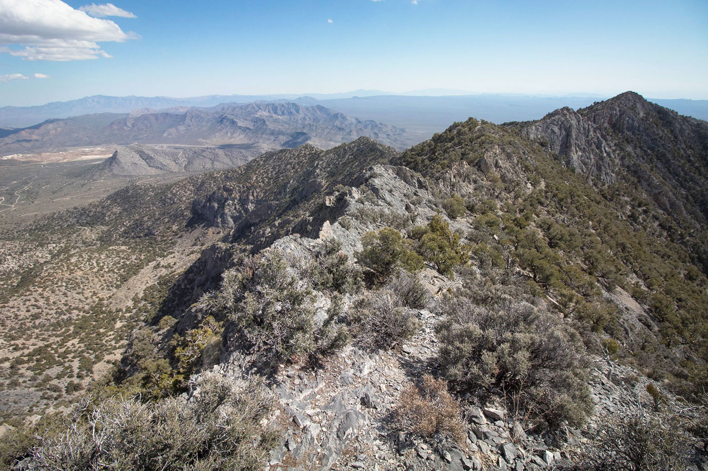 Hike Clark Mountain in Mojave National Preserve, Nevada - Stav is Lost