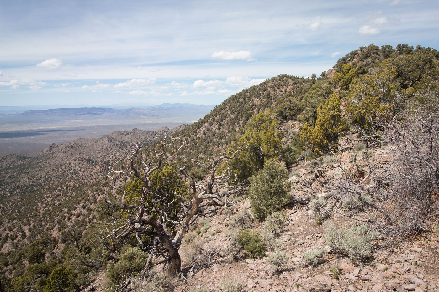 Hike Chokecherry Mountain in Chokecherry Mountain BLM, Nevada - Stav is Lost