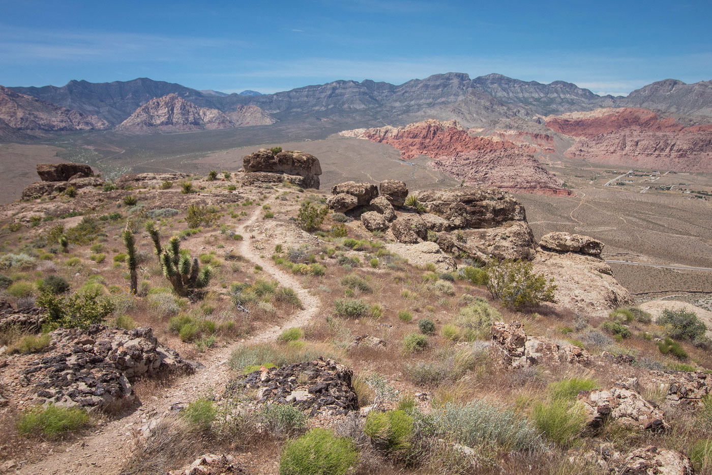 Hike Blue Diamond Hill in Red Rock Canyon National Conservation Area, Nevada - Stav is Lost