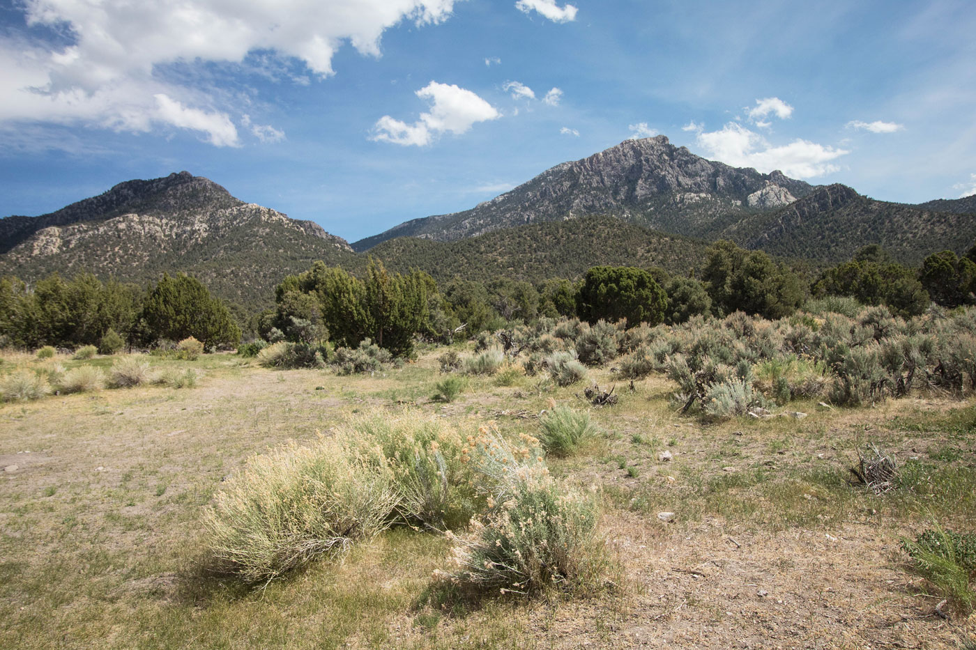 Hike Shingle Peak in Egan Range BLM, Nevada - Stav is Lost