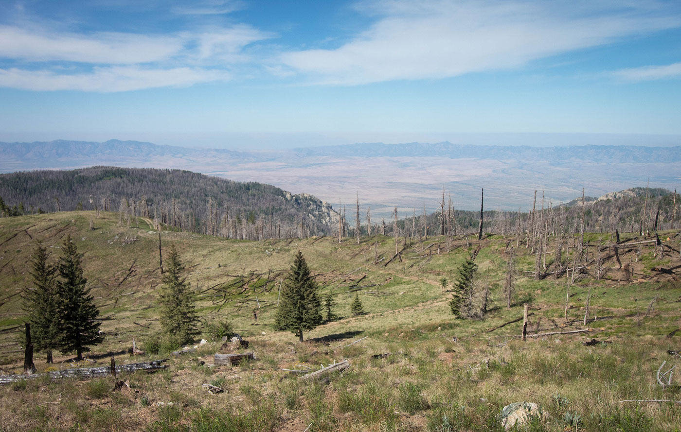 Hike Mount Graham in Coronado National Forest, Arizona - Stav is Lost