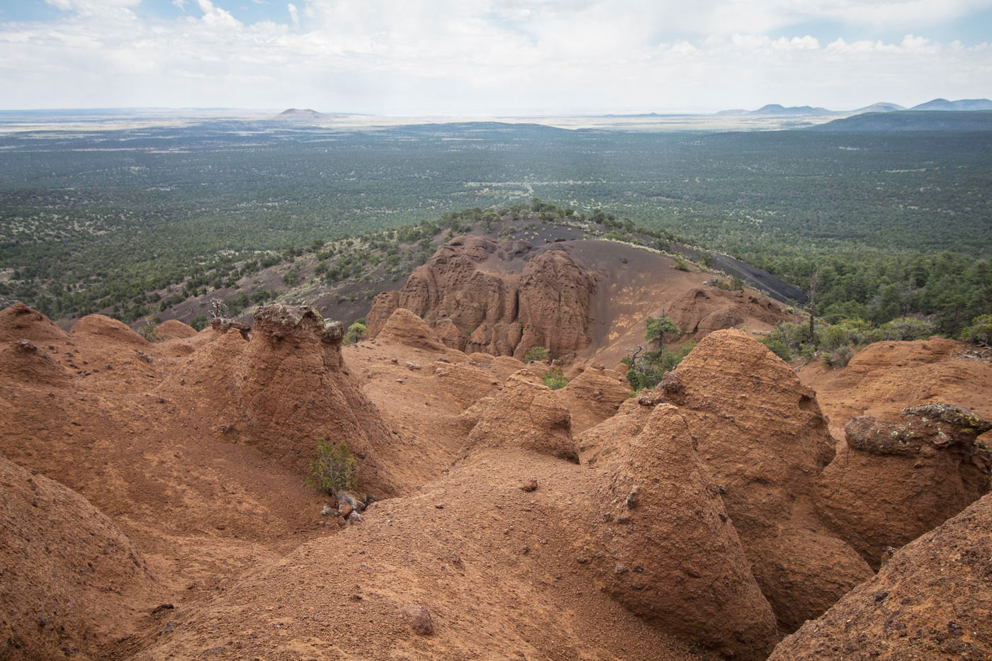 Hike Red Mountain in Coconino National Forest, Arizona - Stav is Lost