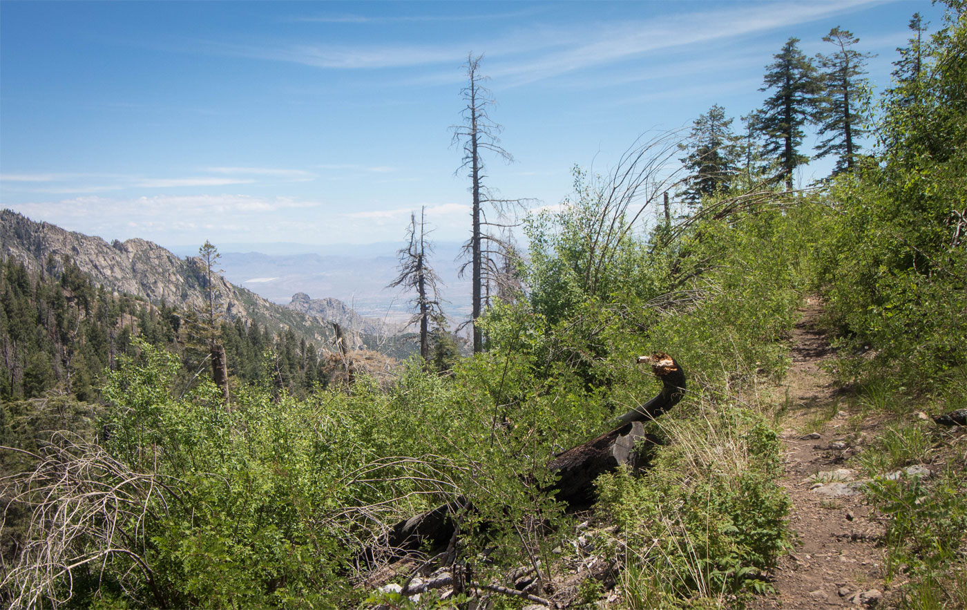 Hike Heliograph Peak in Coronado National Forest, Arizona - Stav is Lost