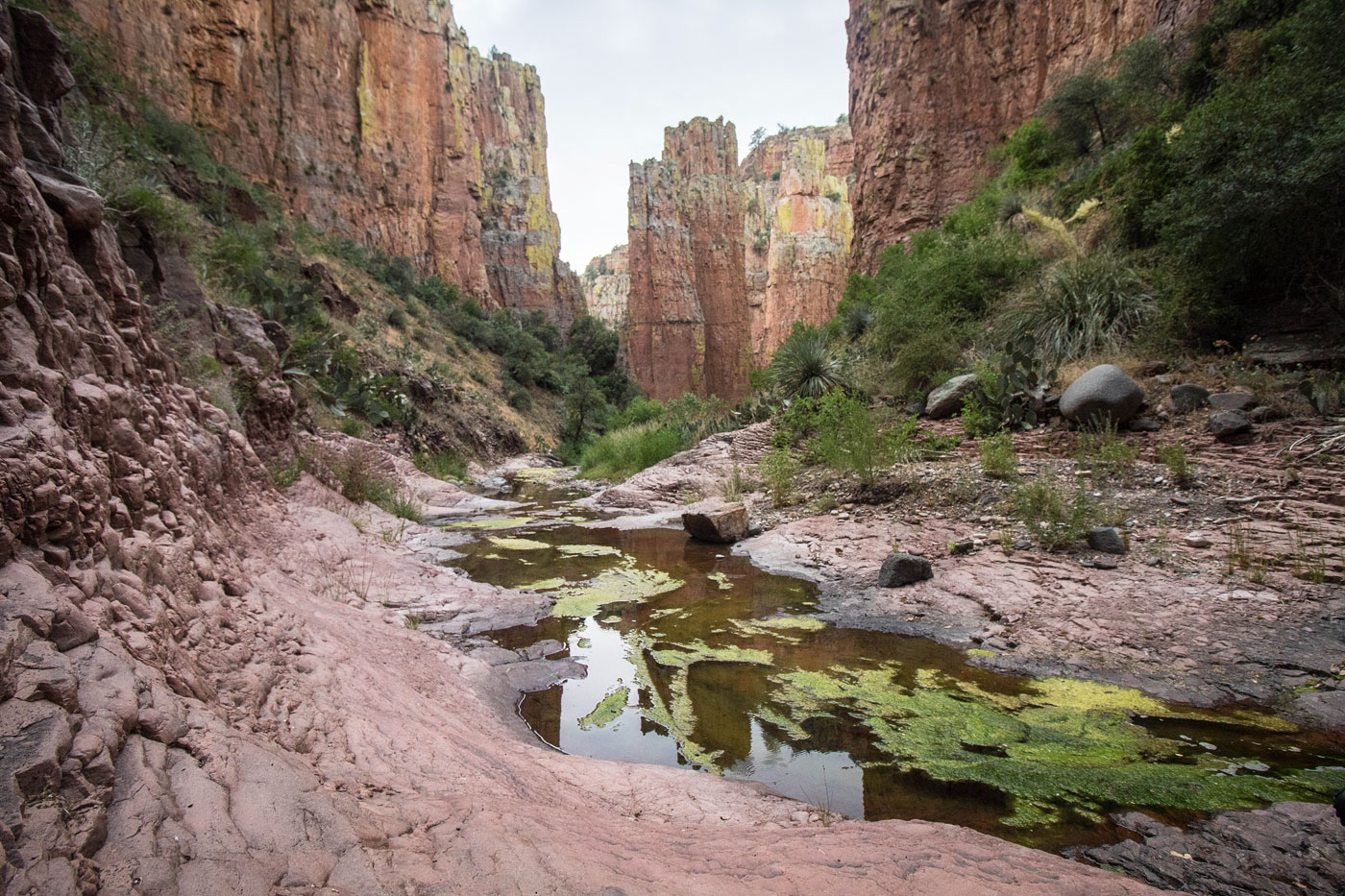 Canyoneering Parker Canyon in Tonto National Forest, Arizona