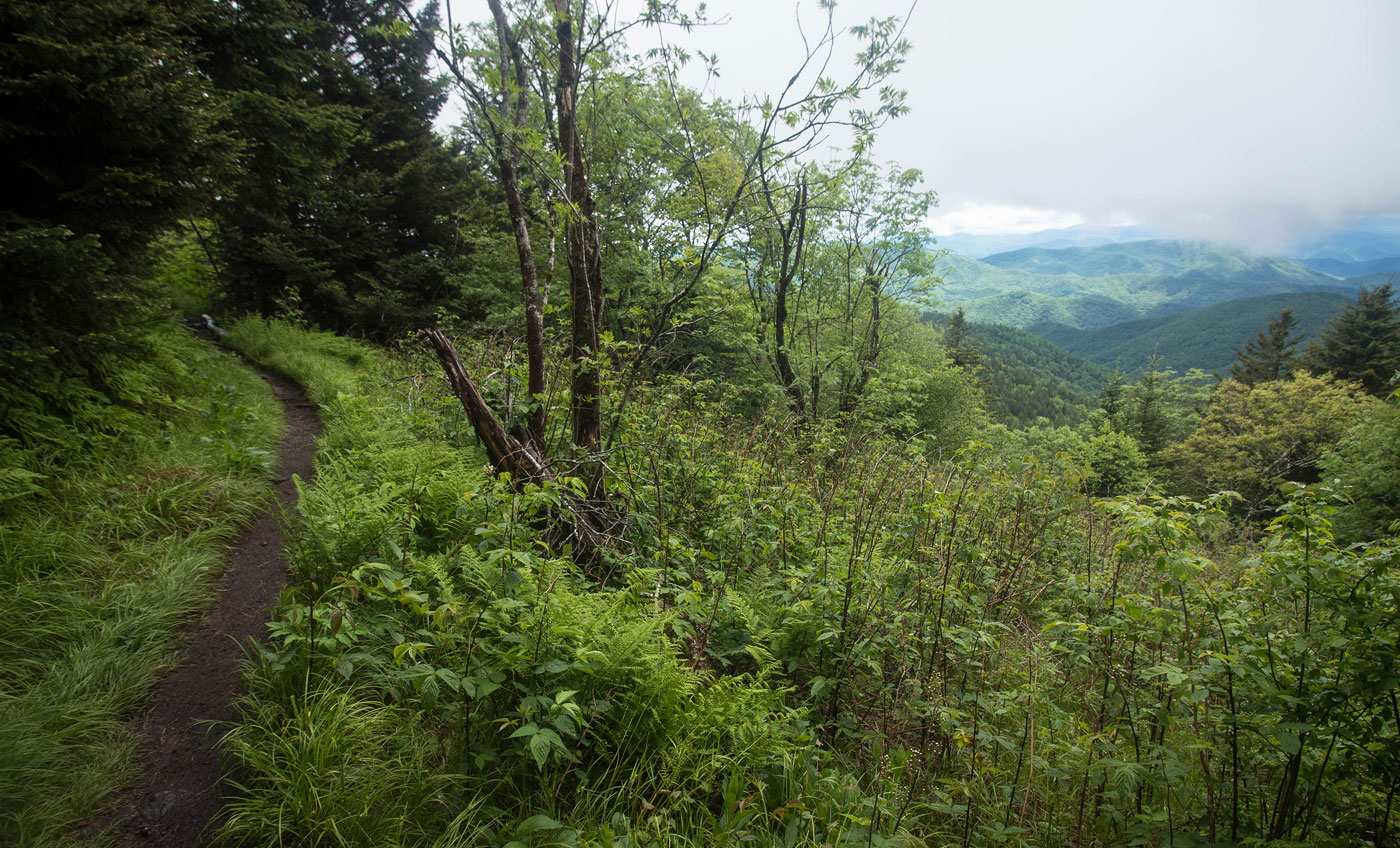Hike Richland Balsam Mountain in Pisgah National Forest, North Carolina - Stav is Lost
