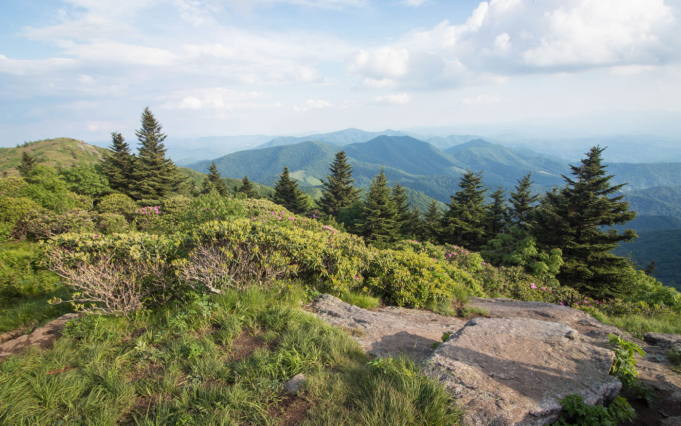 Hiking Roan High Knob and Grassy Ridge Bald in Pisgah National Forest
