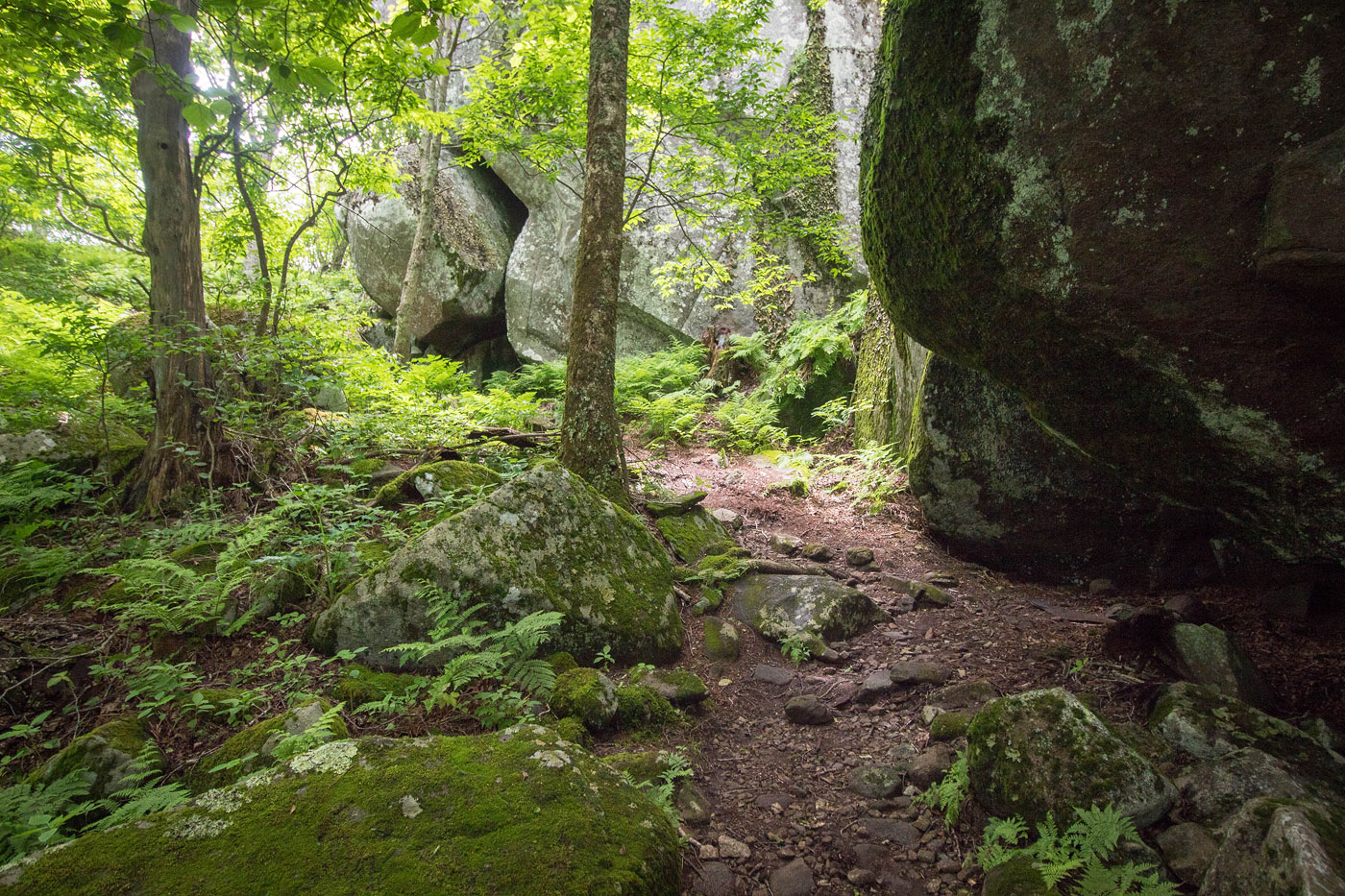 Hiking Flat Top Mountain in Jefferson National Forest, Virginia