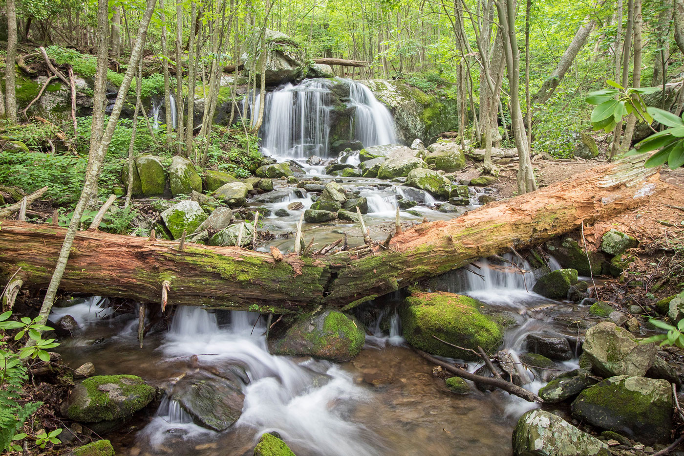Hike Apple Orchard Falls and Mountain in Jefferson National Forest, Virginia - Stav is Lost