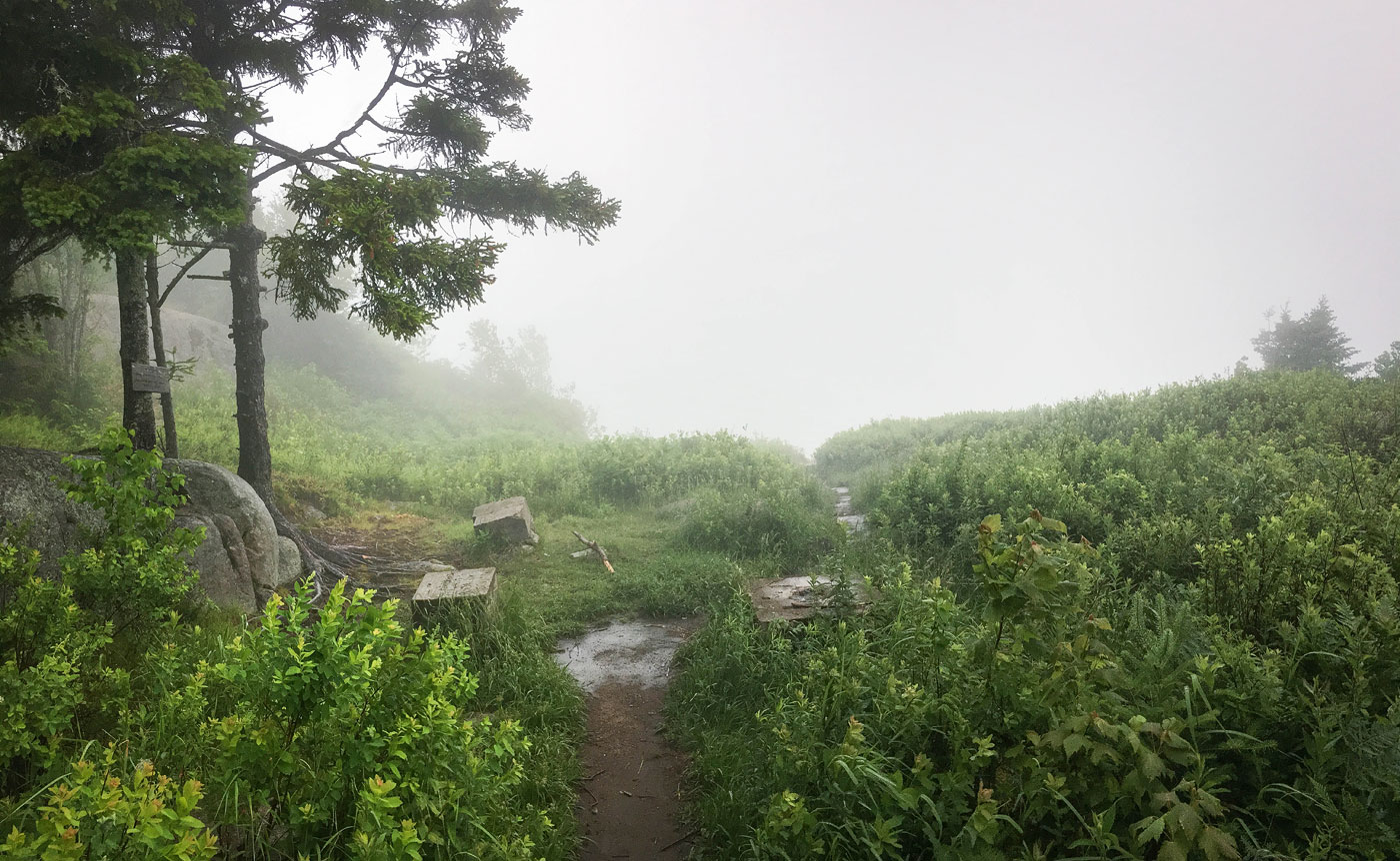 Hike Black Mountain in Adirondack Park, New York - Stav is Lost