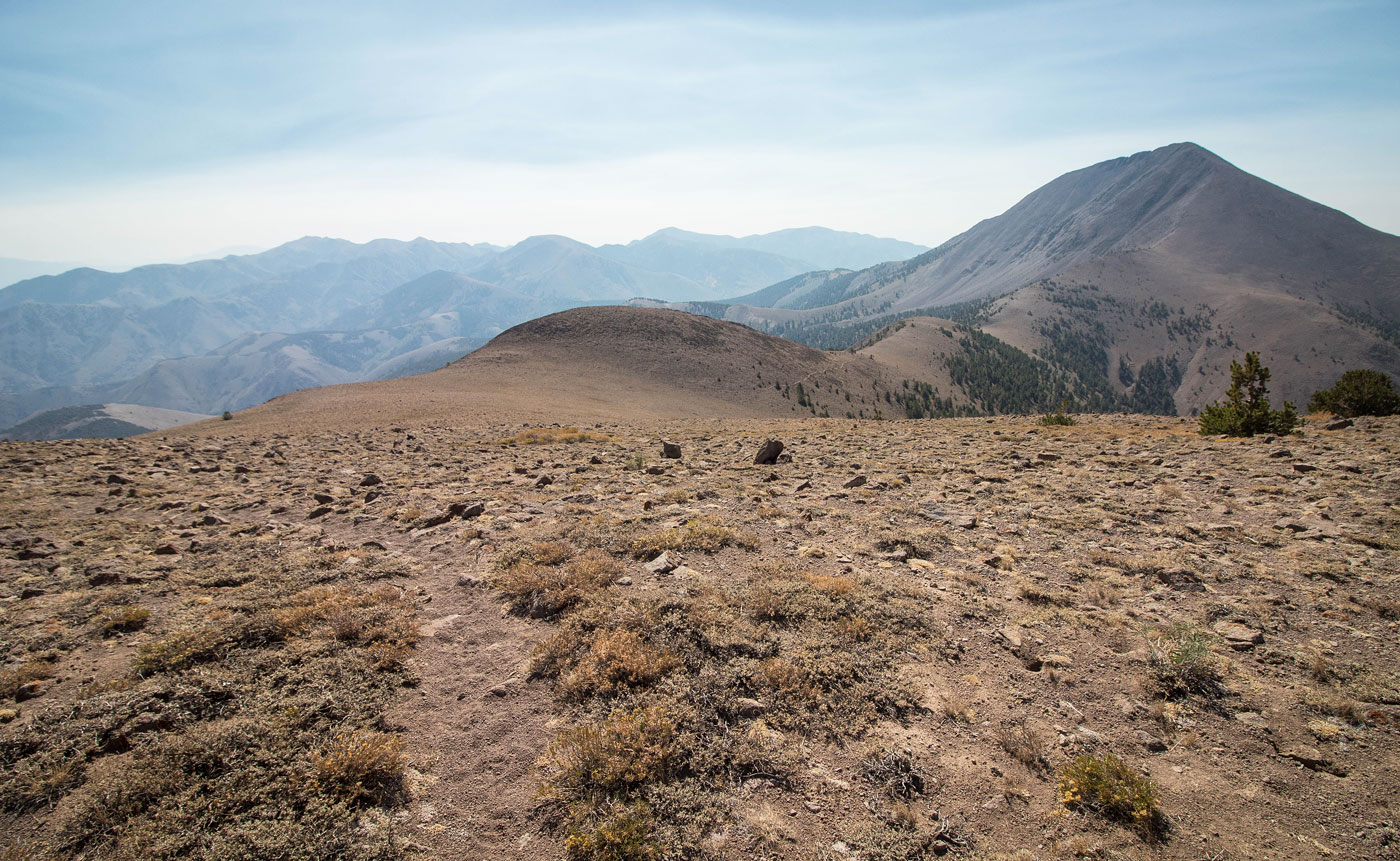 Hike Arc Dome via Toiyabe Crest Trail in Toiyabe National Forest, Nevada - Stav is Lost