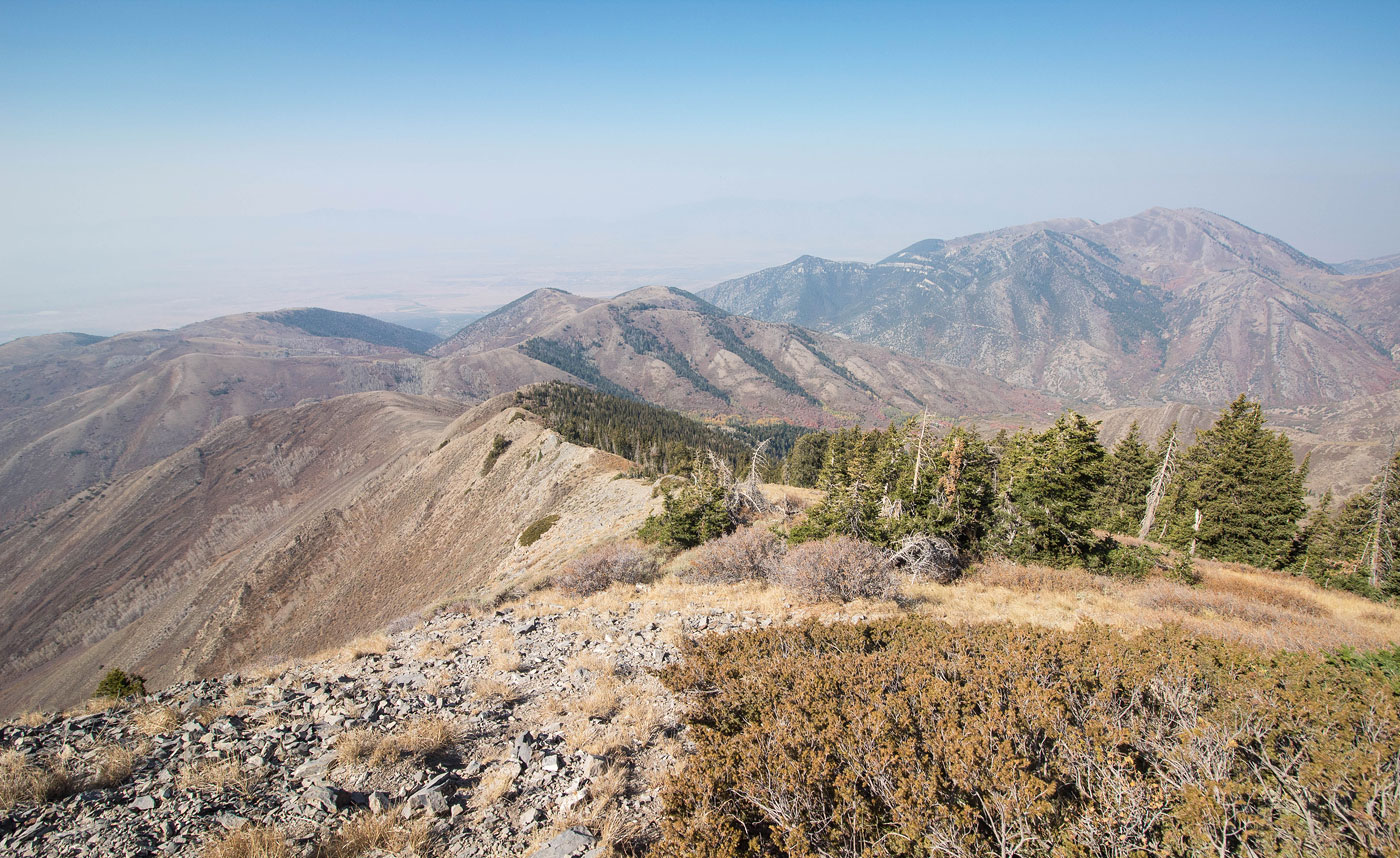 Hike Flat Top Mountain in Wasatch-Cache National Forest, Utah - Stav is Lost