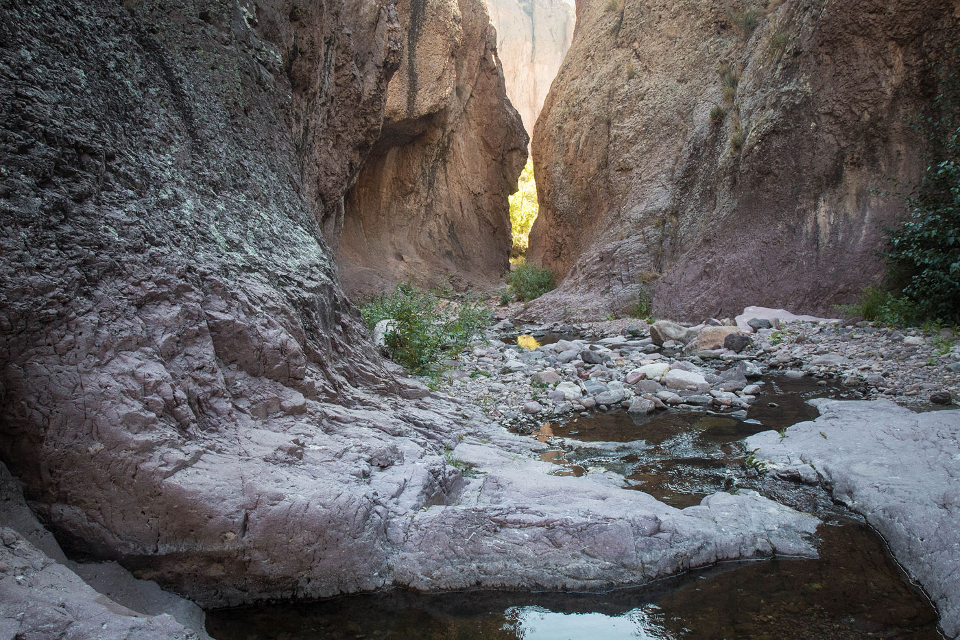 Hiking Mineral Creek and Cooney in Gila National Forest, New Mexico