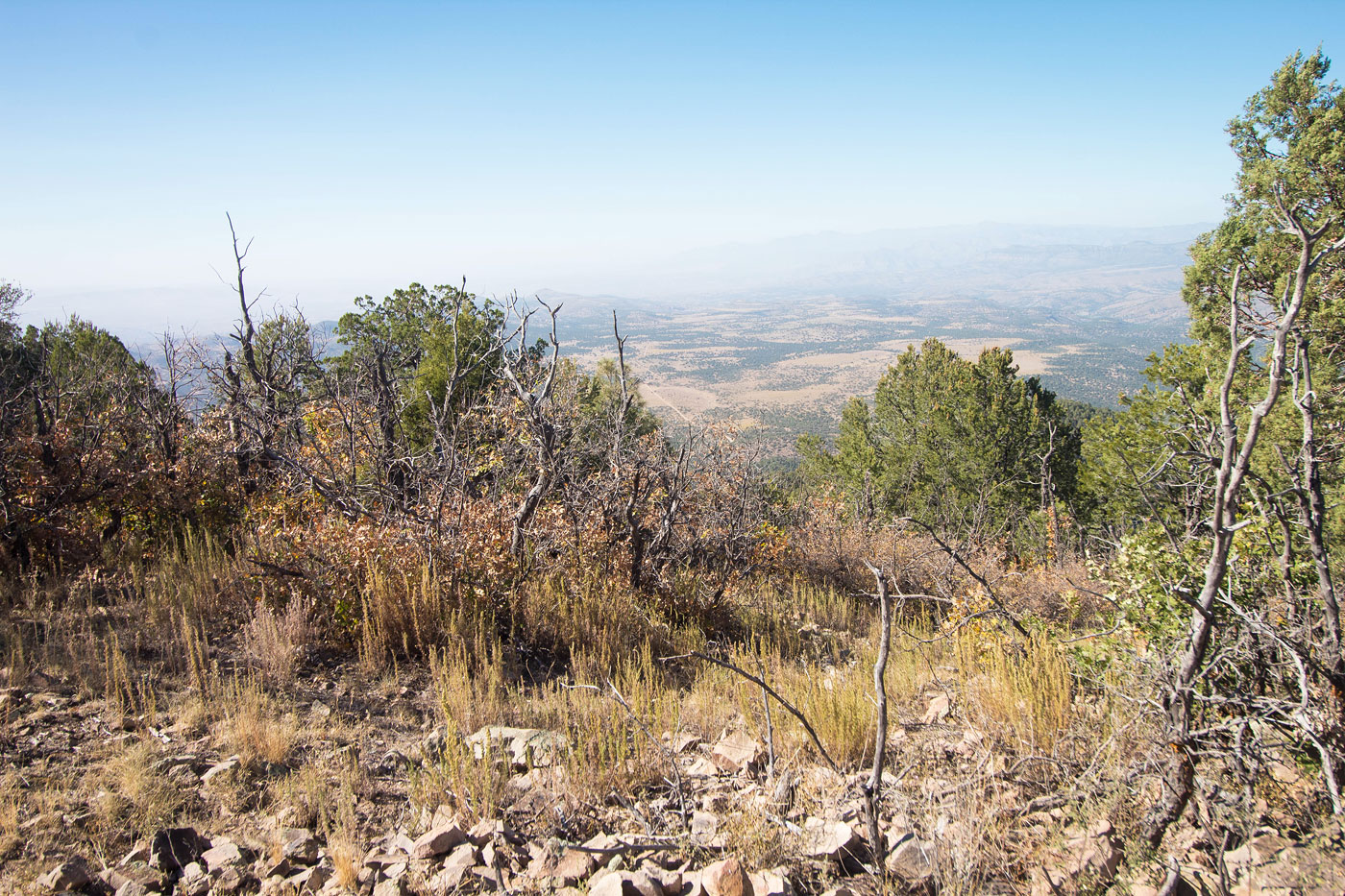 Hike Bear Mountain in Gila National Forest, New Mexico - Stav is Lost