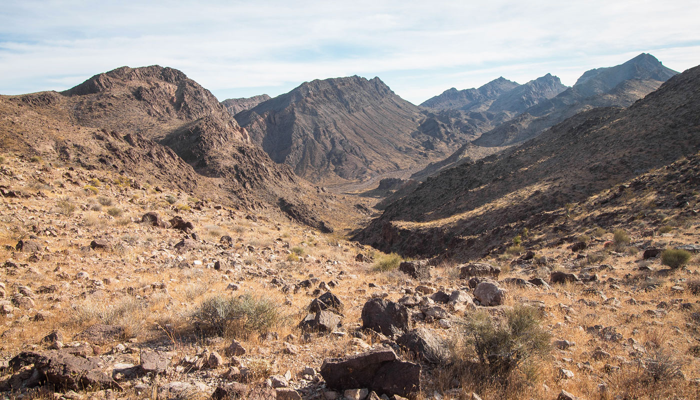 Hike Northern Eldorado Wilderness in Eldorado Mountains BLM, Nevada - Stav is Lost