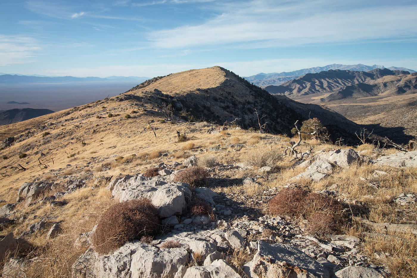 Hike Shenandoah Peak and Ridge View Peak in Potosi Mountain BLM, Nevada - Stav is Lost