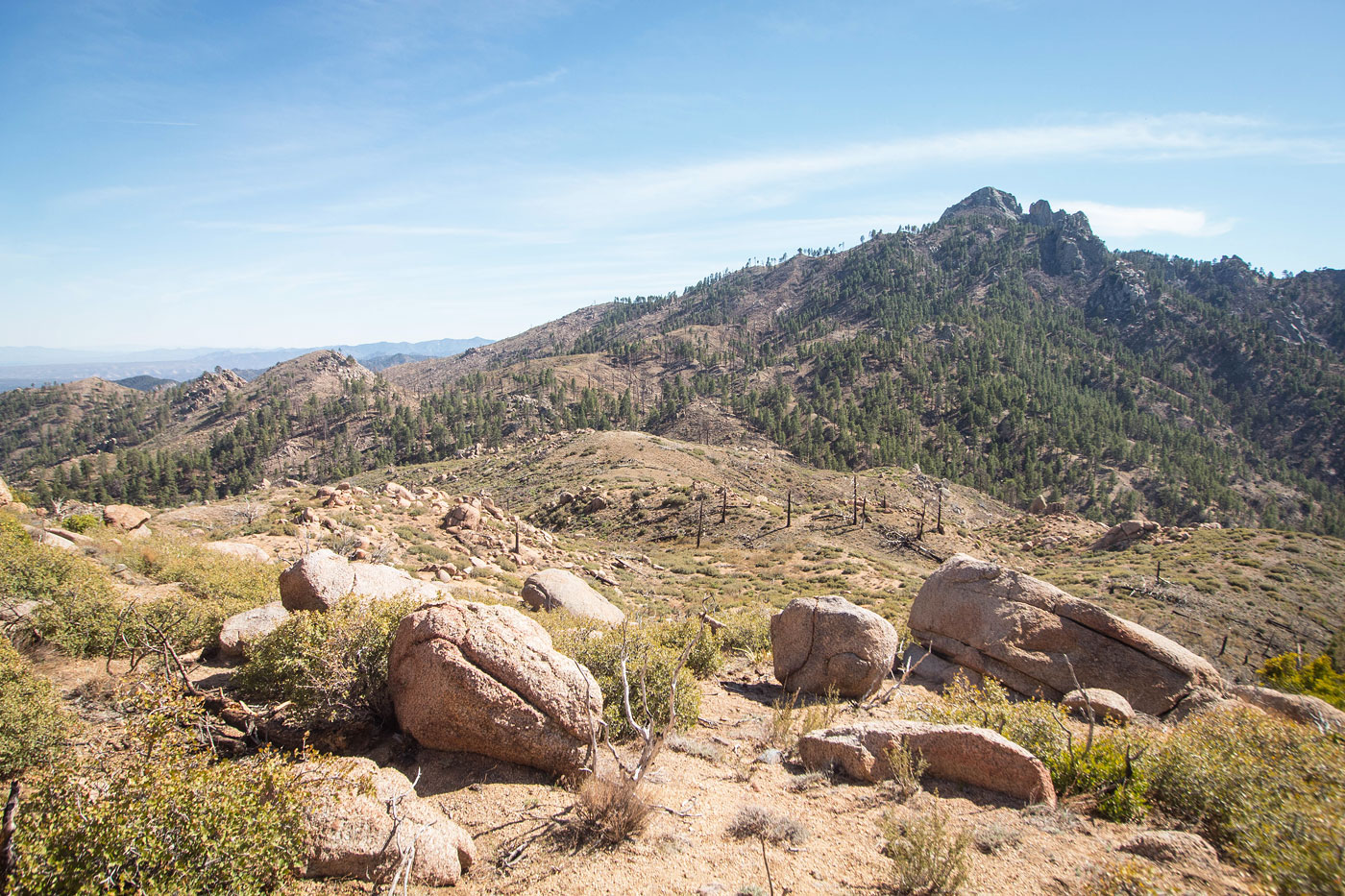 Hike Dean Peak in Hualapai Mountains BLM, Arizona - Stav is Lost