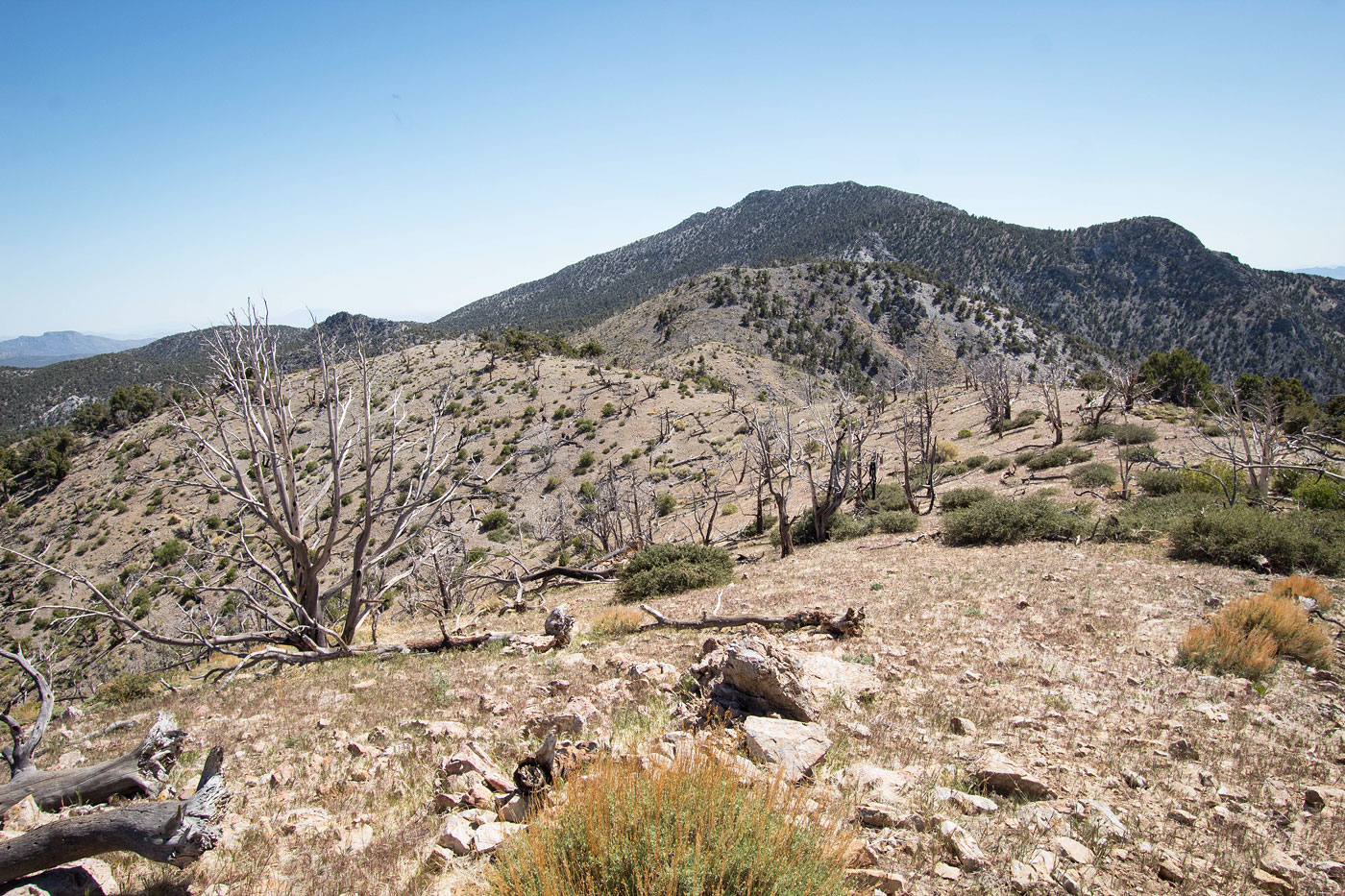 Hike Horse Benchmark and Spring Peak Loop in Spring Mountains National Recreation Area, Nevada - Stav is Lost