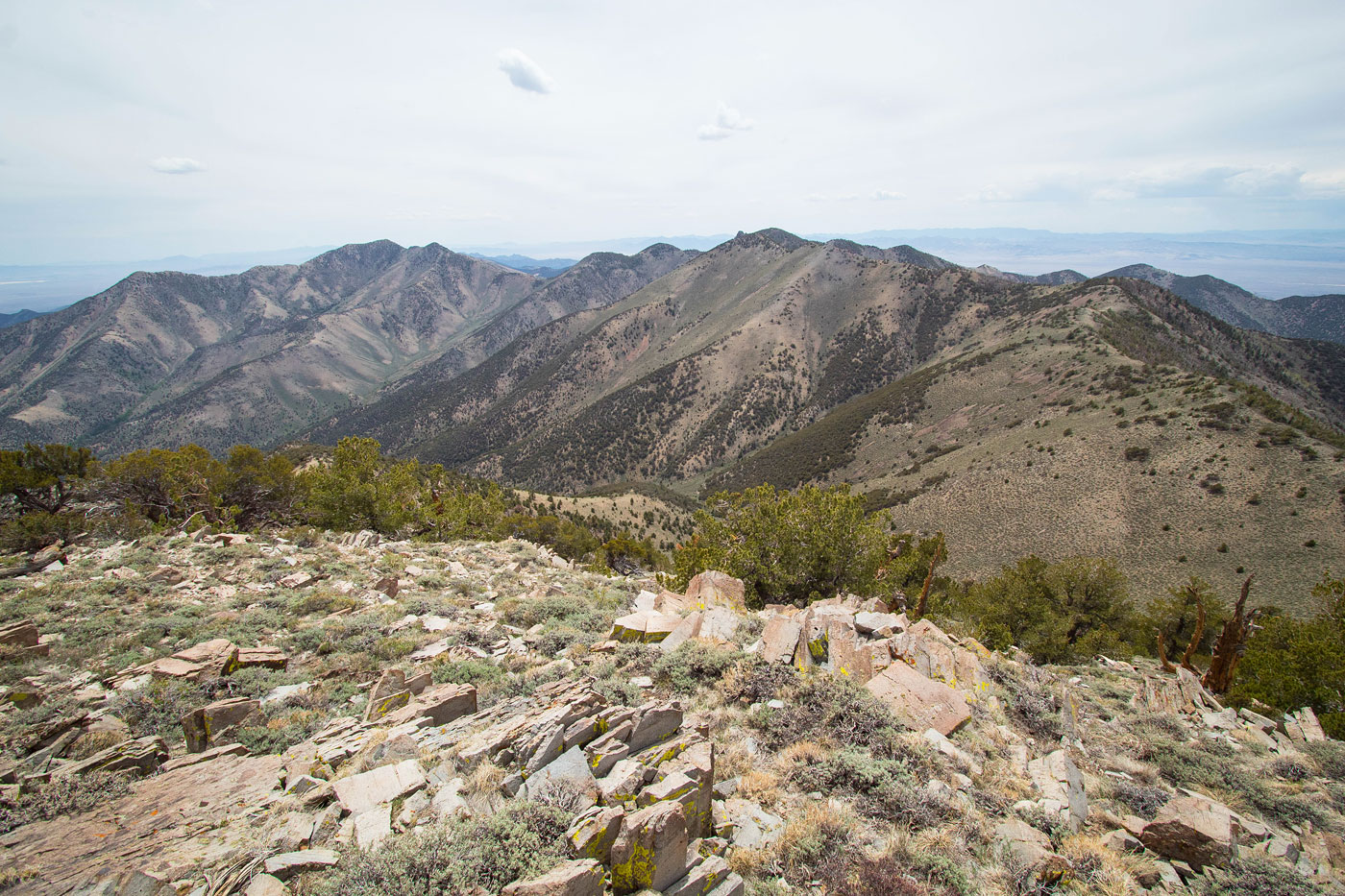 Hike Quinn Canyon Range Loop in Humboldt-Toiyabe National Forest, Nevada - Stav is Lost