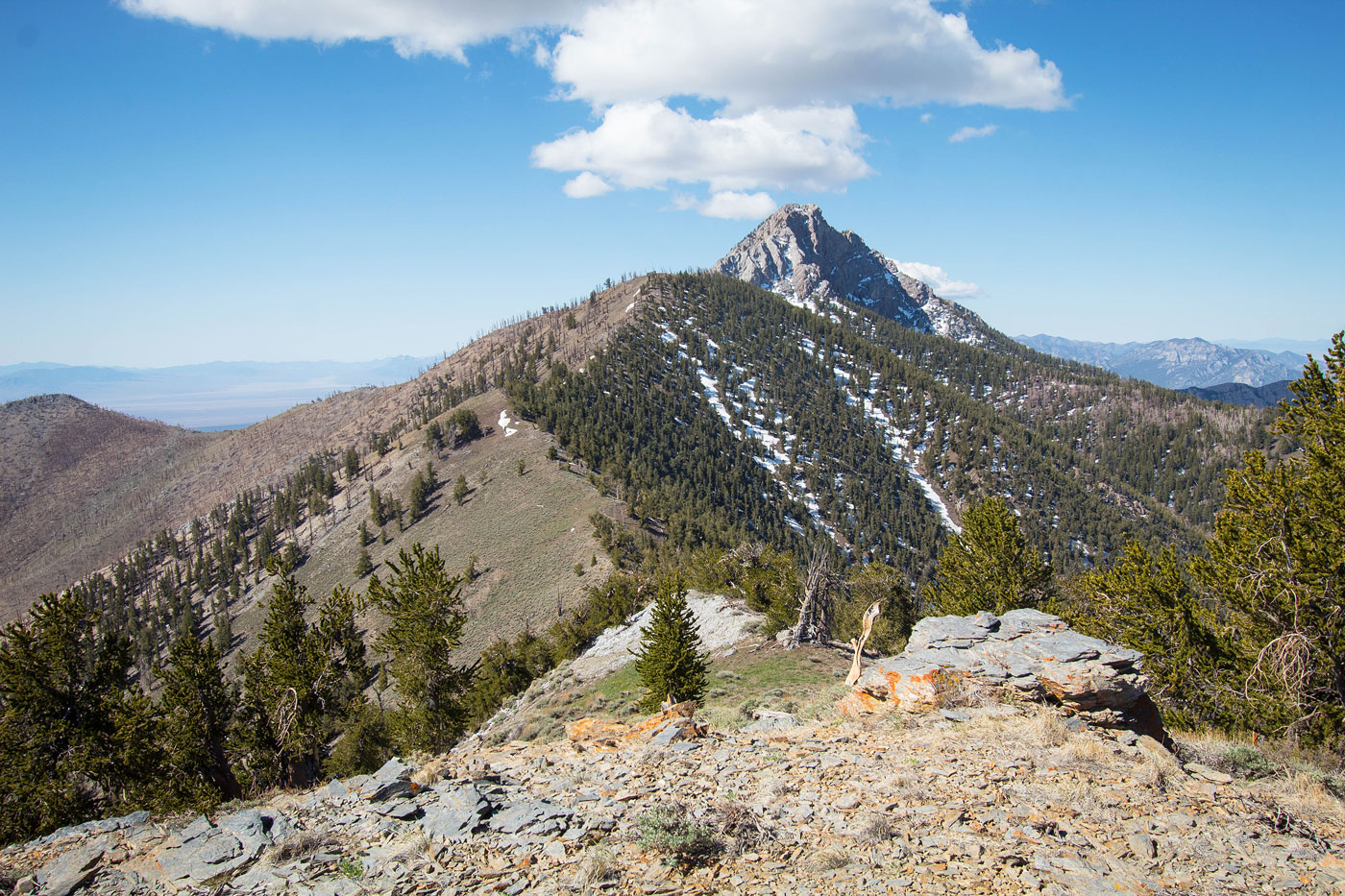 Hike Troy Peak and Grant Range Traverse in Humboldt-Toiyabe National Forest, Nevada - Stav is Lost