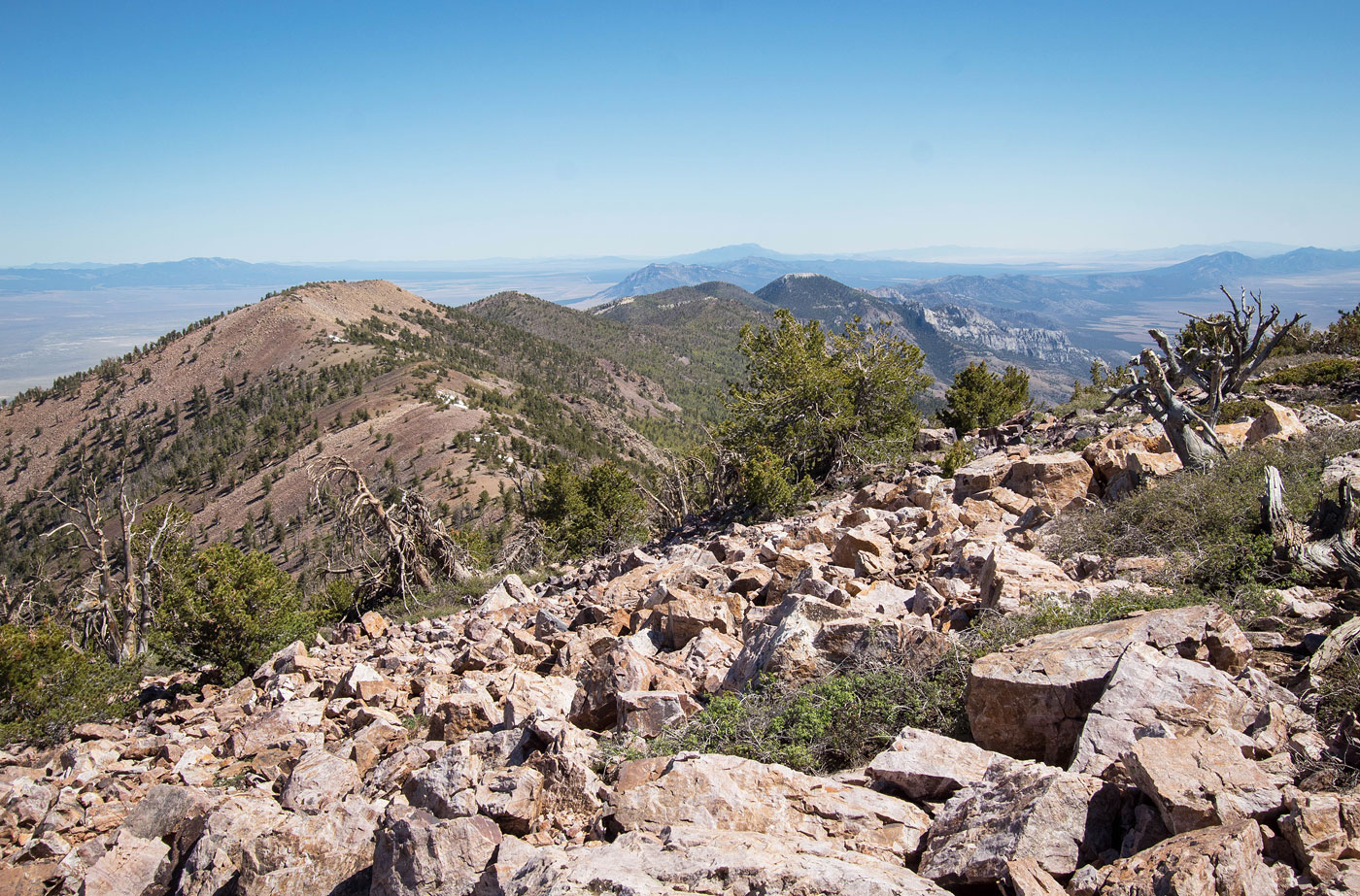 Hike Mount Grafton in Mount Grafton Wilderness BLM, Nevada - Stav is Lost