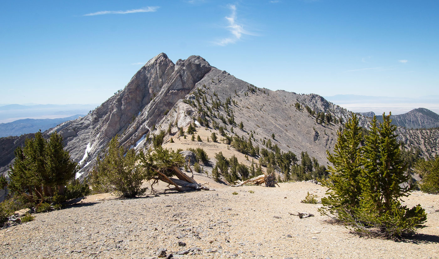 Hike Currant Mountain and White Pine Range Traverse in Humboldt-Toiyabe National Forest, Nevada - Stav is Lost
