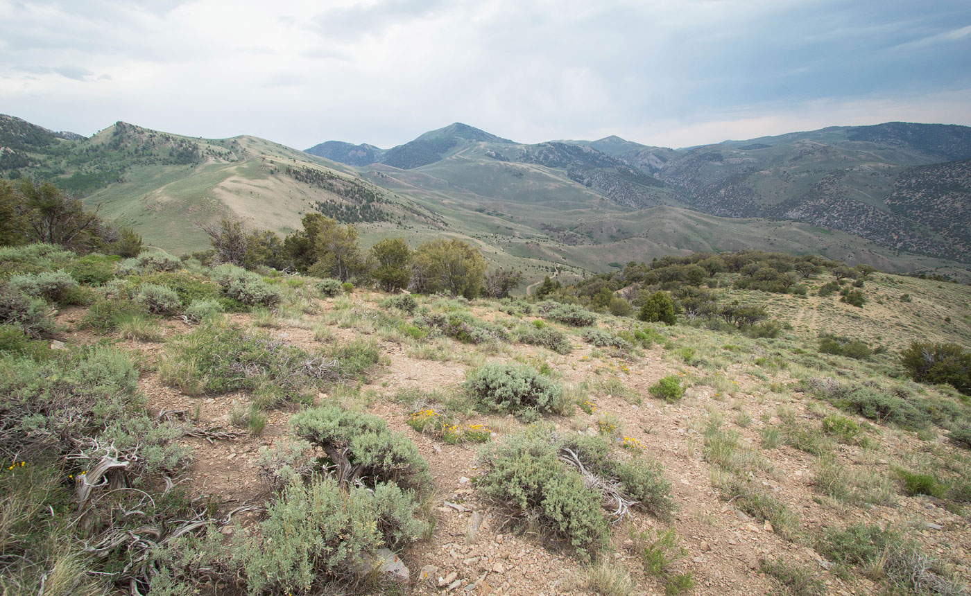 Hike Telegraph Hill in Egan Range BLM, Nevada - Stav is Lost