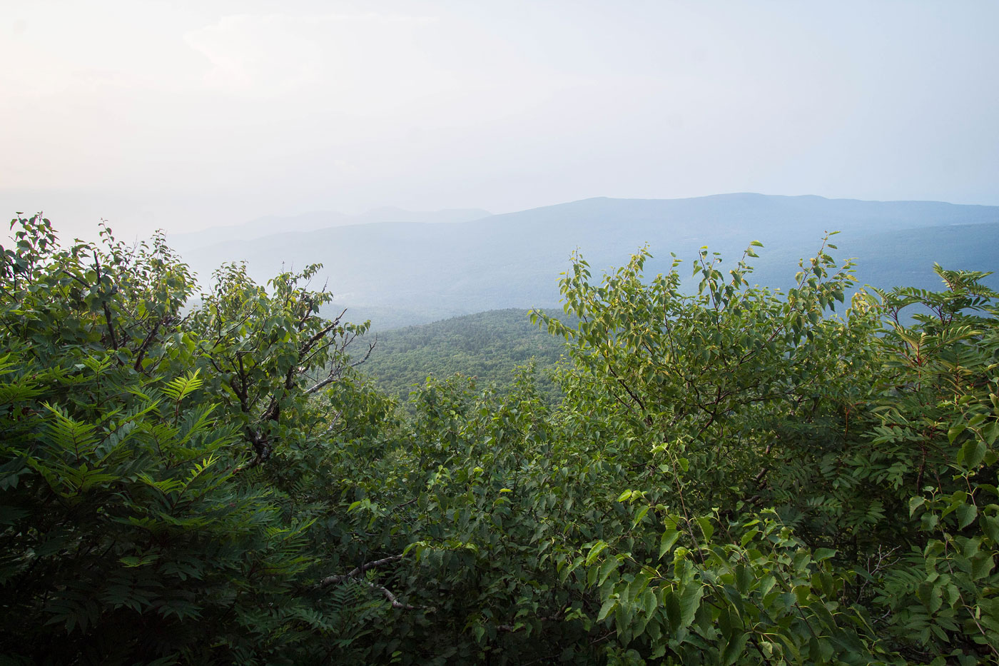Hike Kaaterskill High Peak in Catskill State Park, New York - Stav is Lost