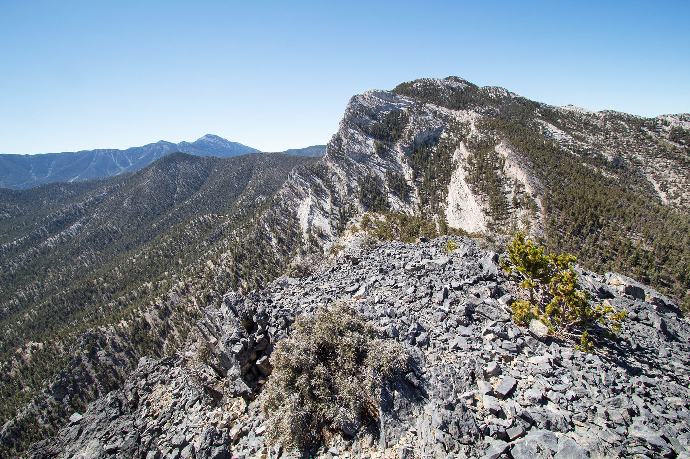 Hike North McFarland Peak and Macks Peak in Spring Mountains National Recreation Area, Nevada - Stav is Lost