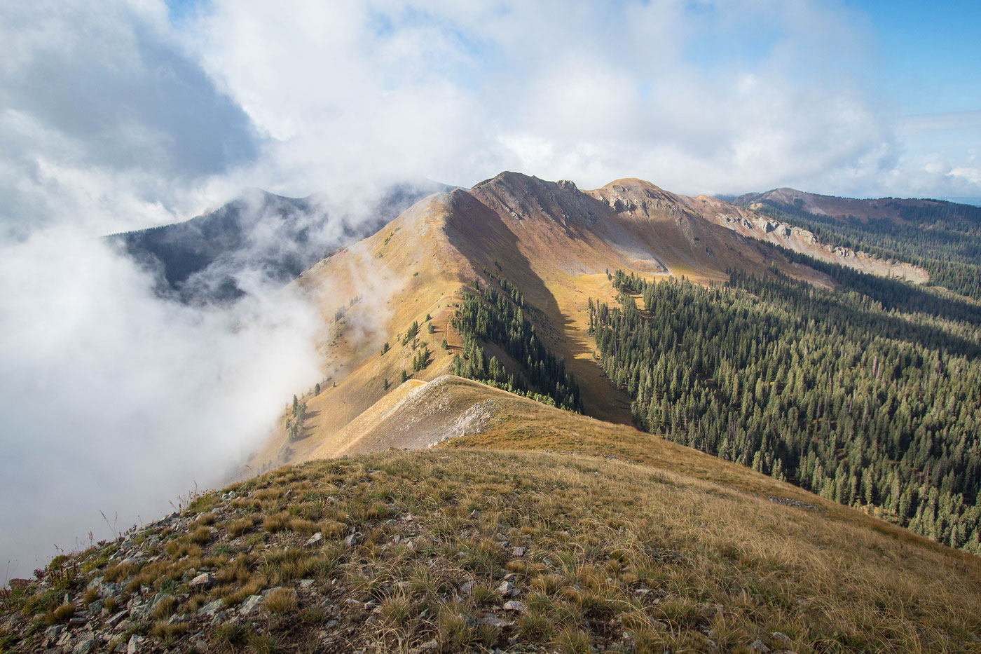 Hike Elliott Mountain and Sockrider Peak via Calico Trail in San Juan National Forest, Colorado - Stav is Lost