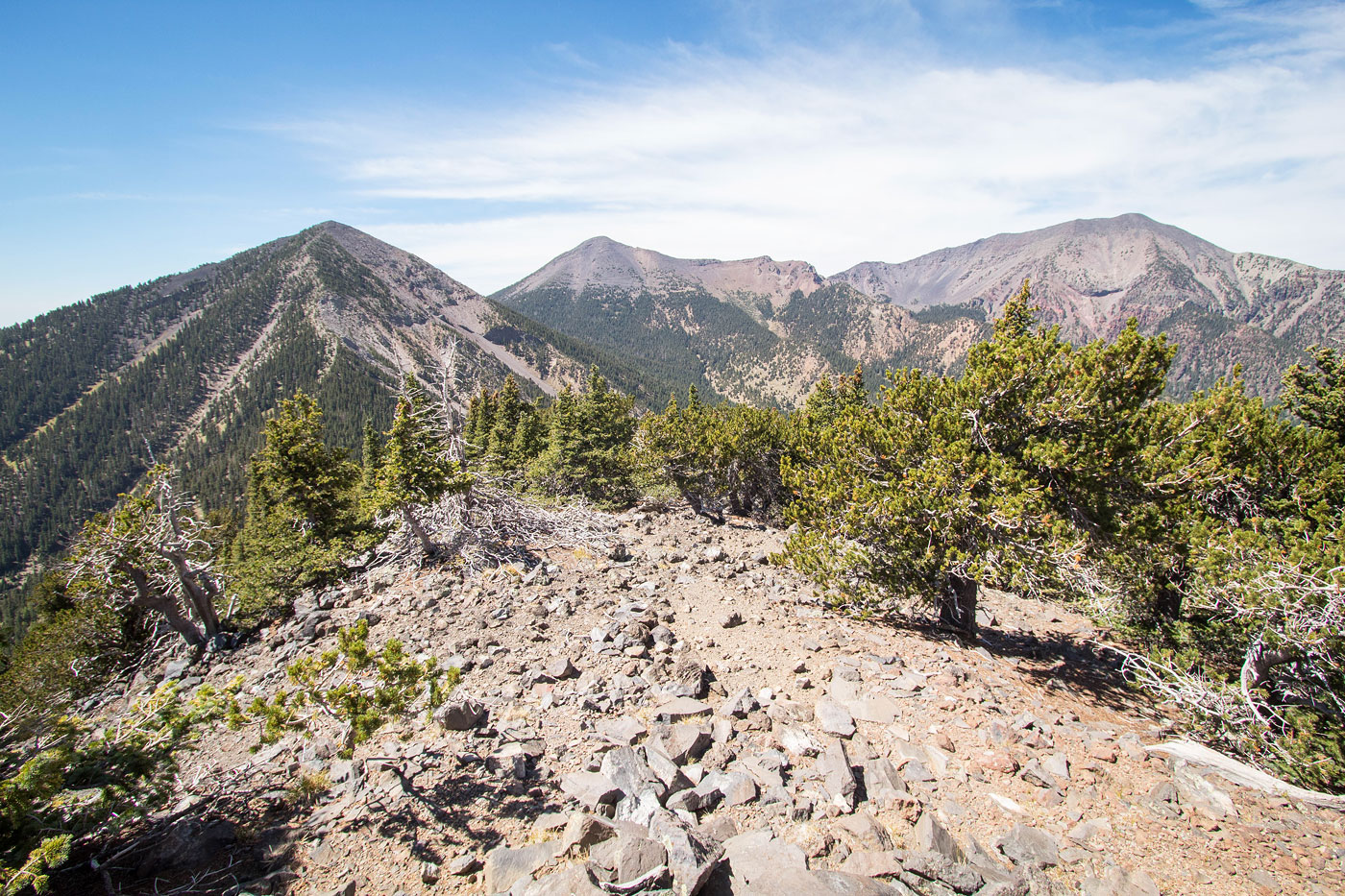 Hike Doyle Peak via Weatherford Trail in Coconino National Forest, Arizona - Stav is Lost