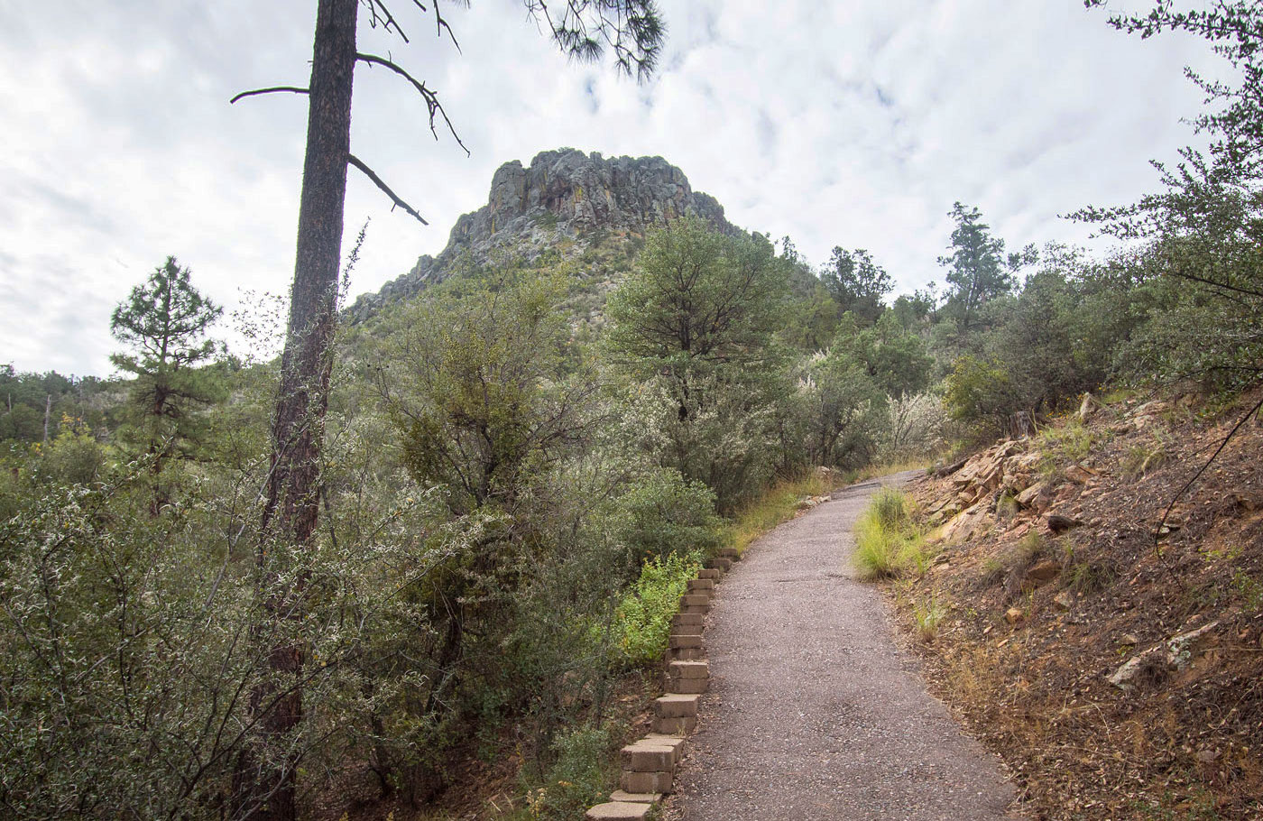 Hike Thumb Butte in Prescott National Forest, Arizona - Stav is Lost