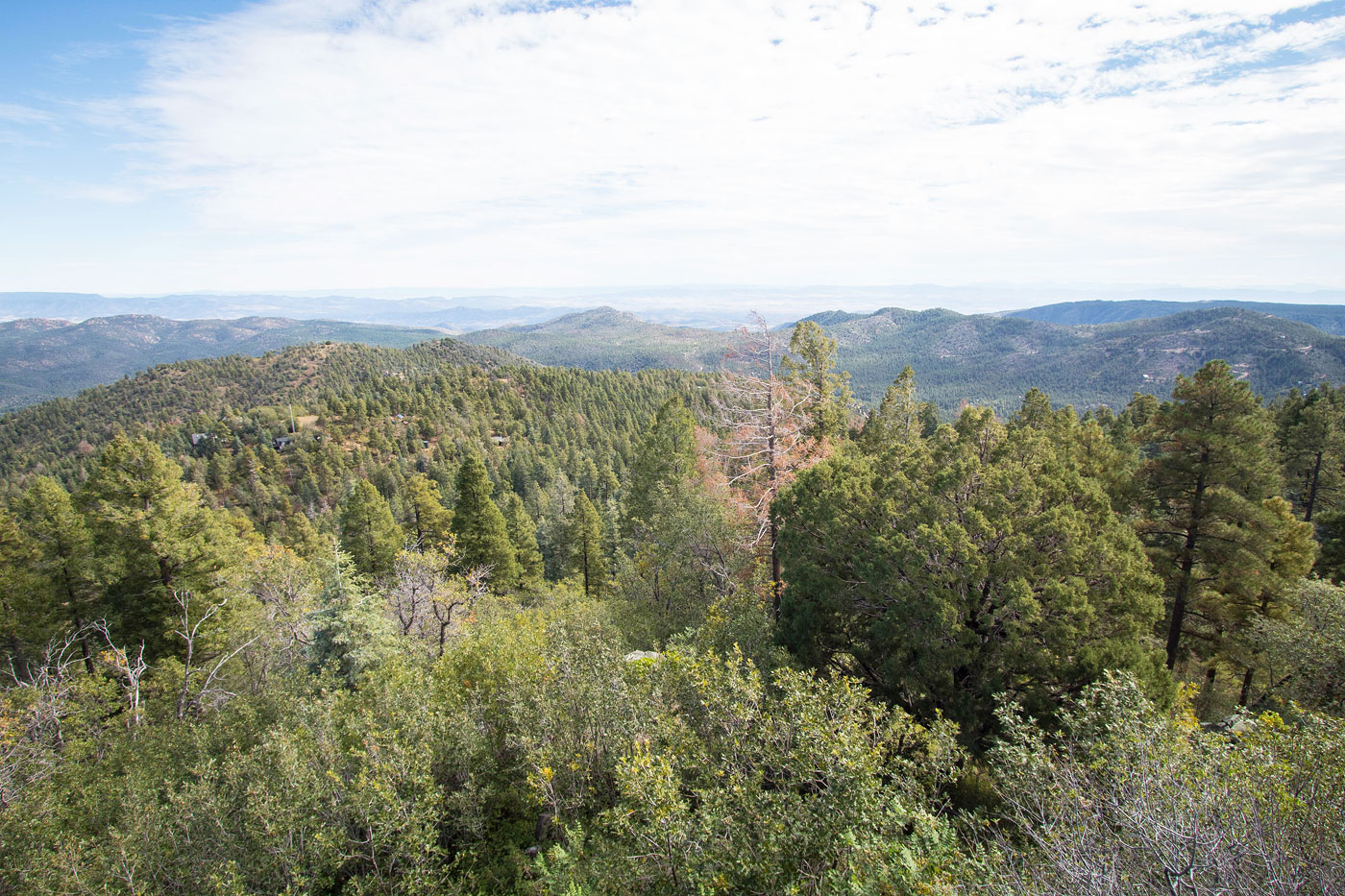 Hike Spruce Mountain in Prescott National Forest, Arizona - Stav is Lost