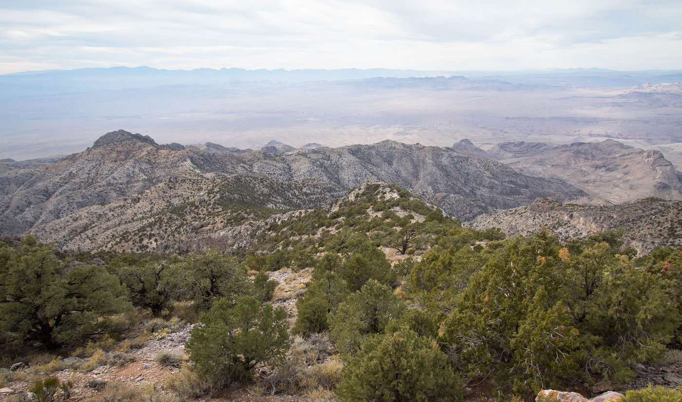 Hike Mormon Peak and Wasp Throne in Mormon Mountains Wilderness Area, Nevada - Stav is Lost